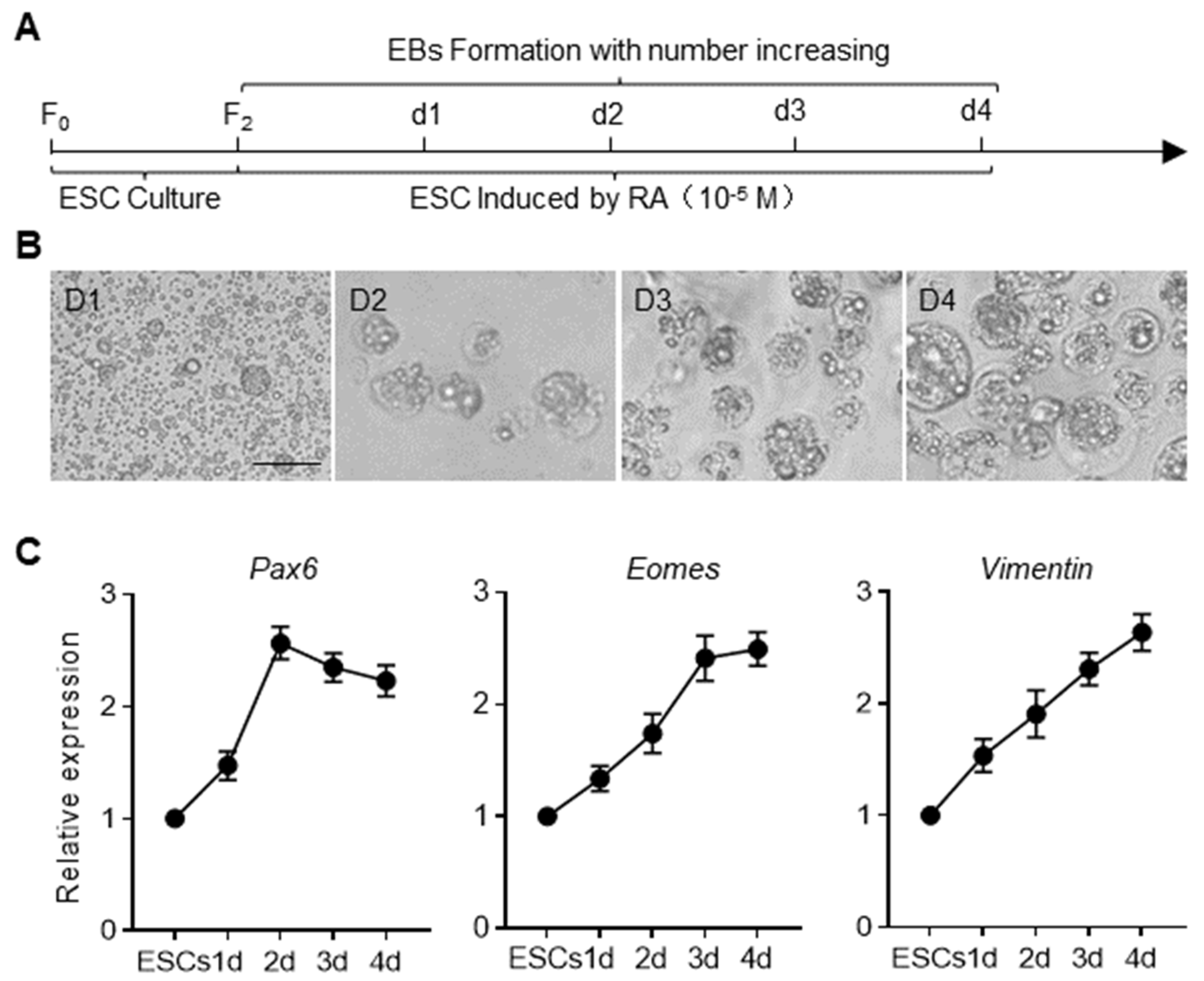 Animals 14 00302 g002