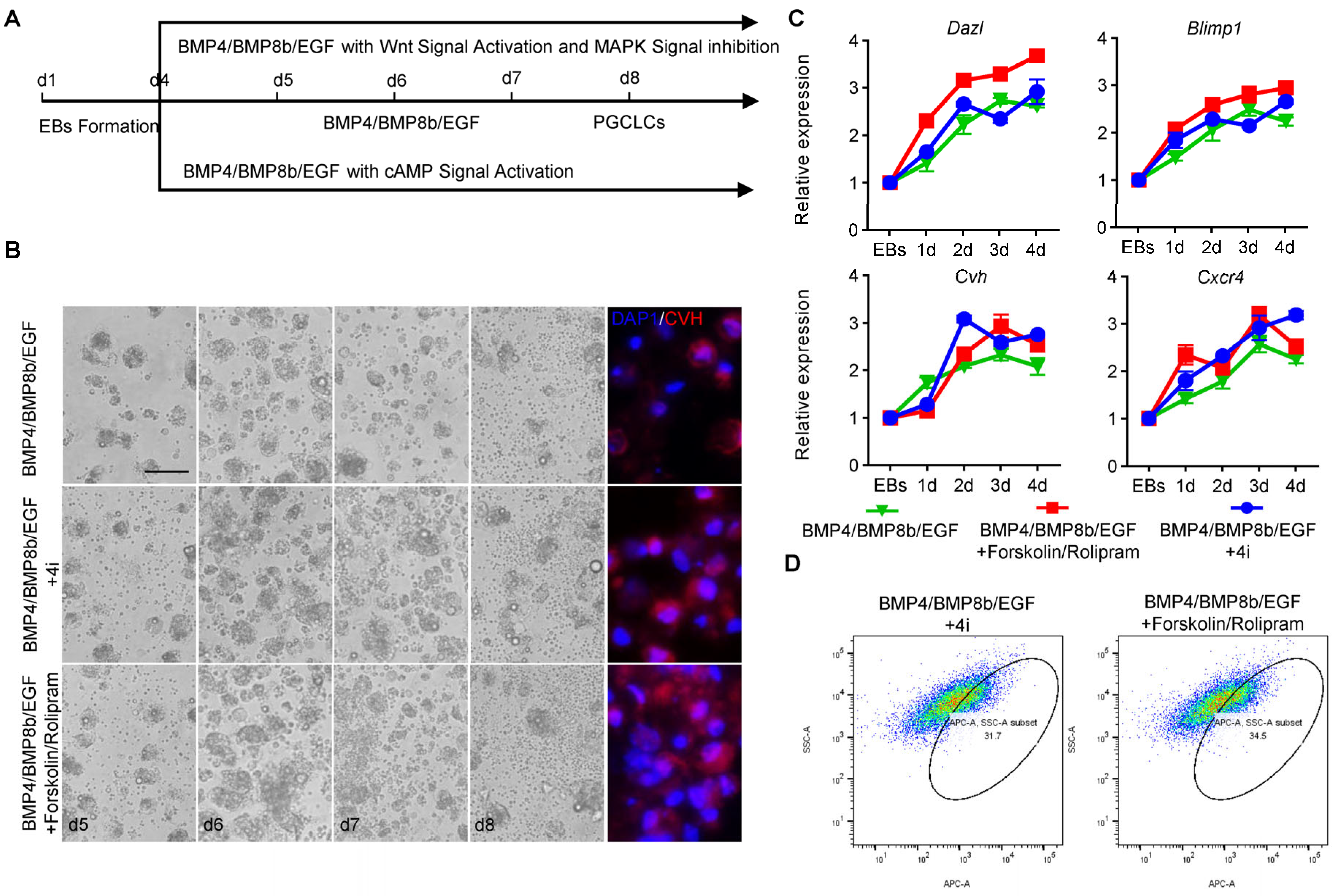 Animals 14 00302 g005