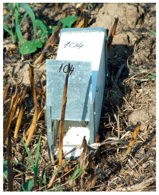 Animals 14 00304 g0a1