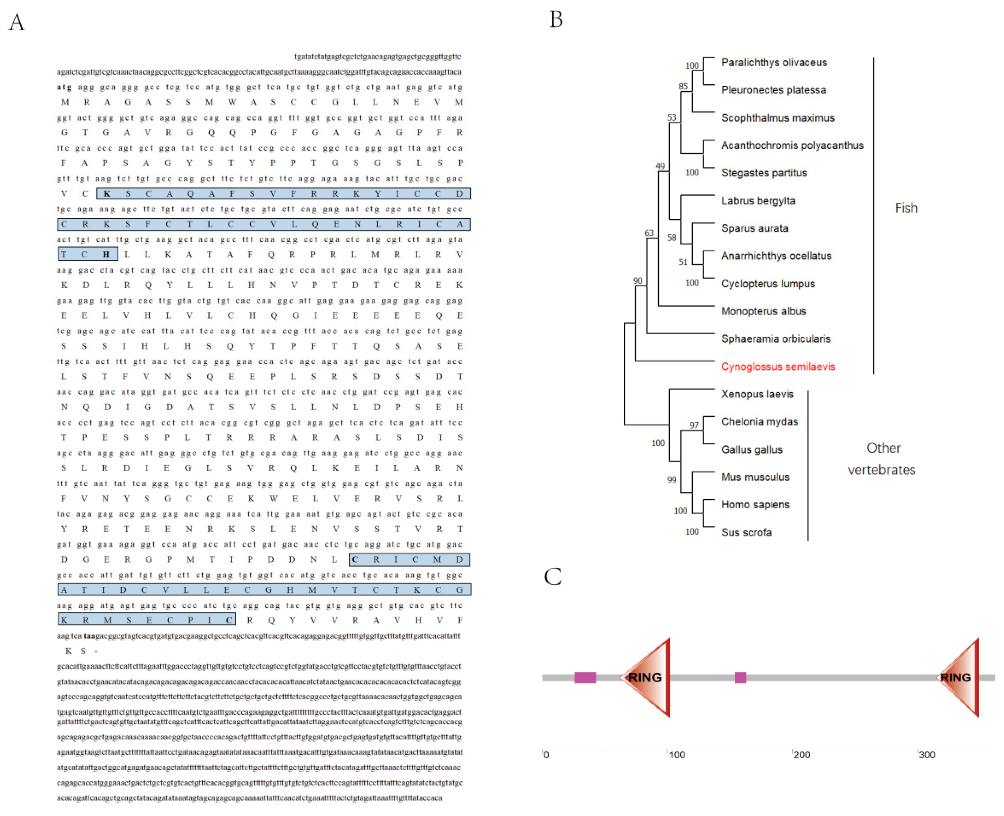 Animals 14 00311 g001 Animals 14 00311 g001