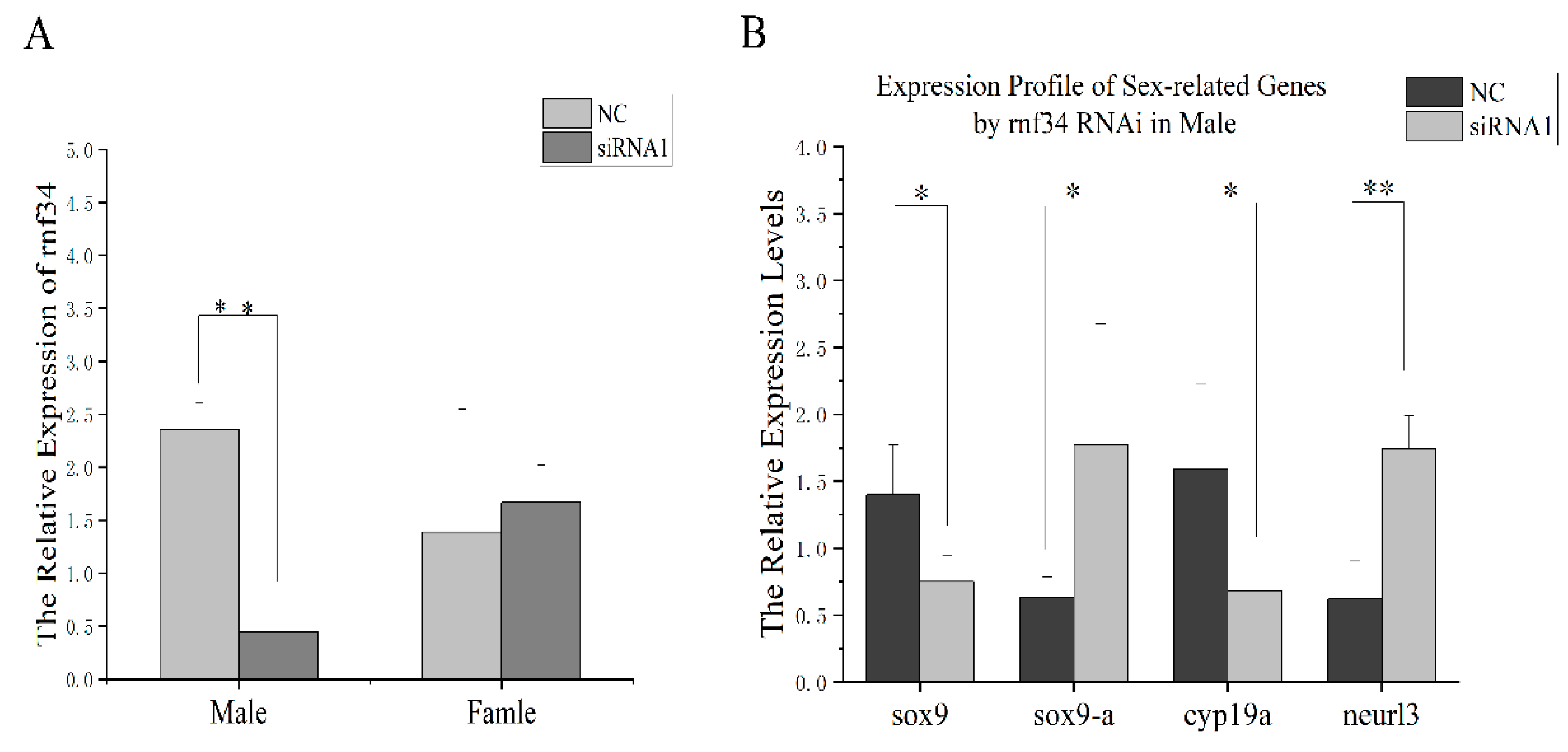 Animals 14 00311 g006 Animals 14 00311 g006
