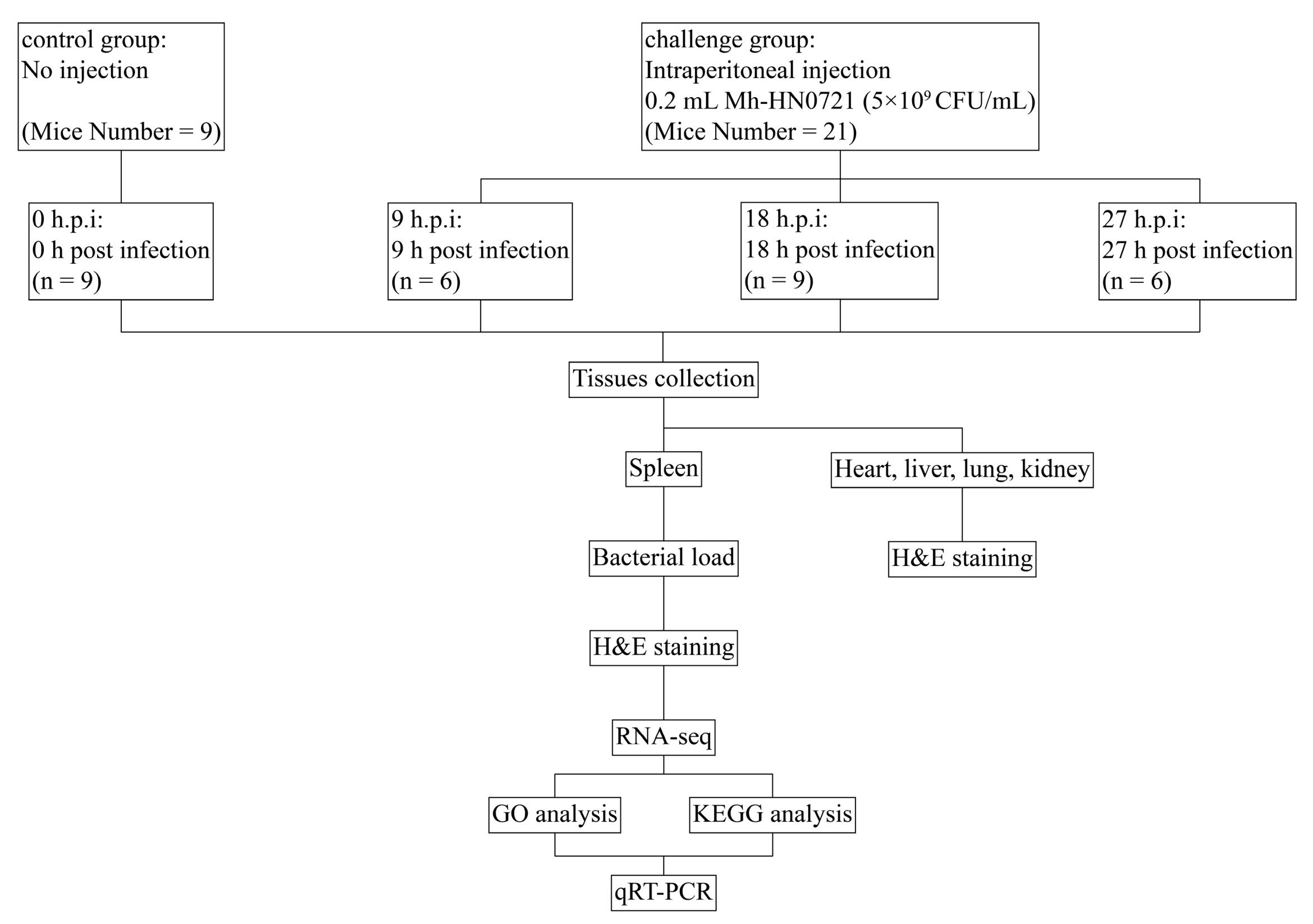 Animals 14 00317 g001