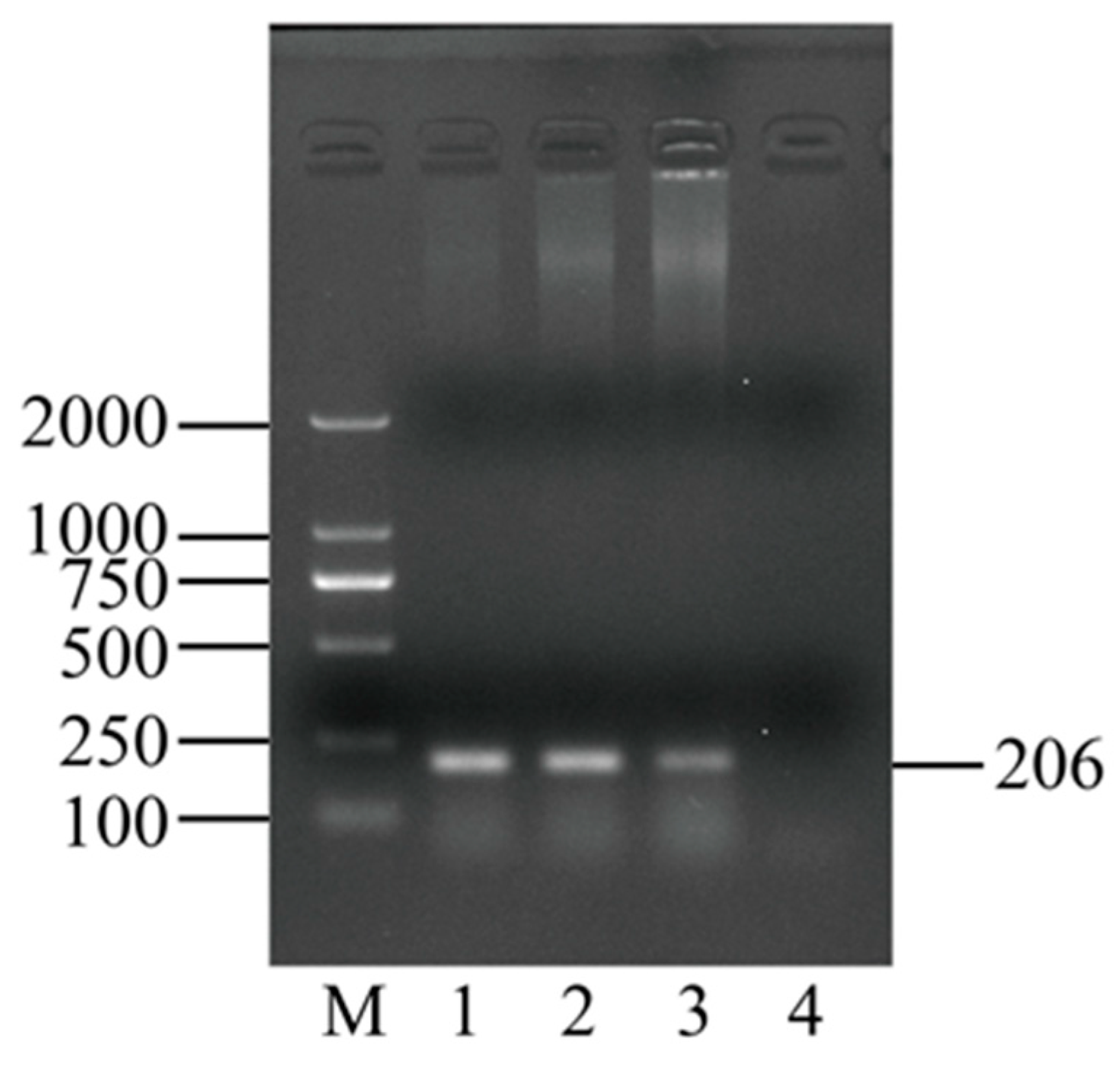 Animals 14 00317 g005