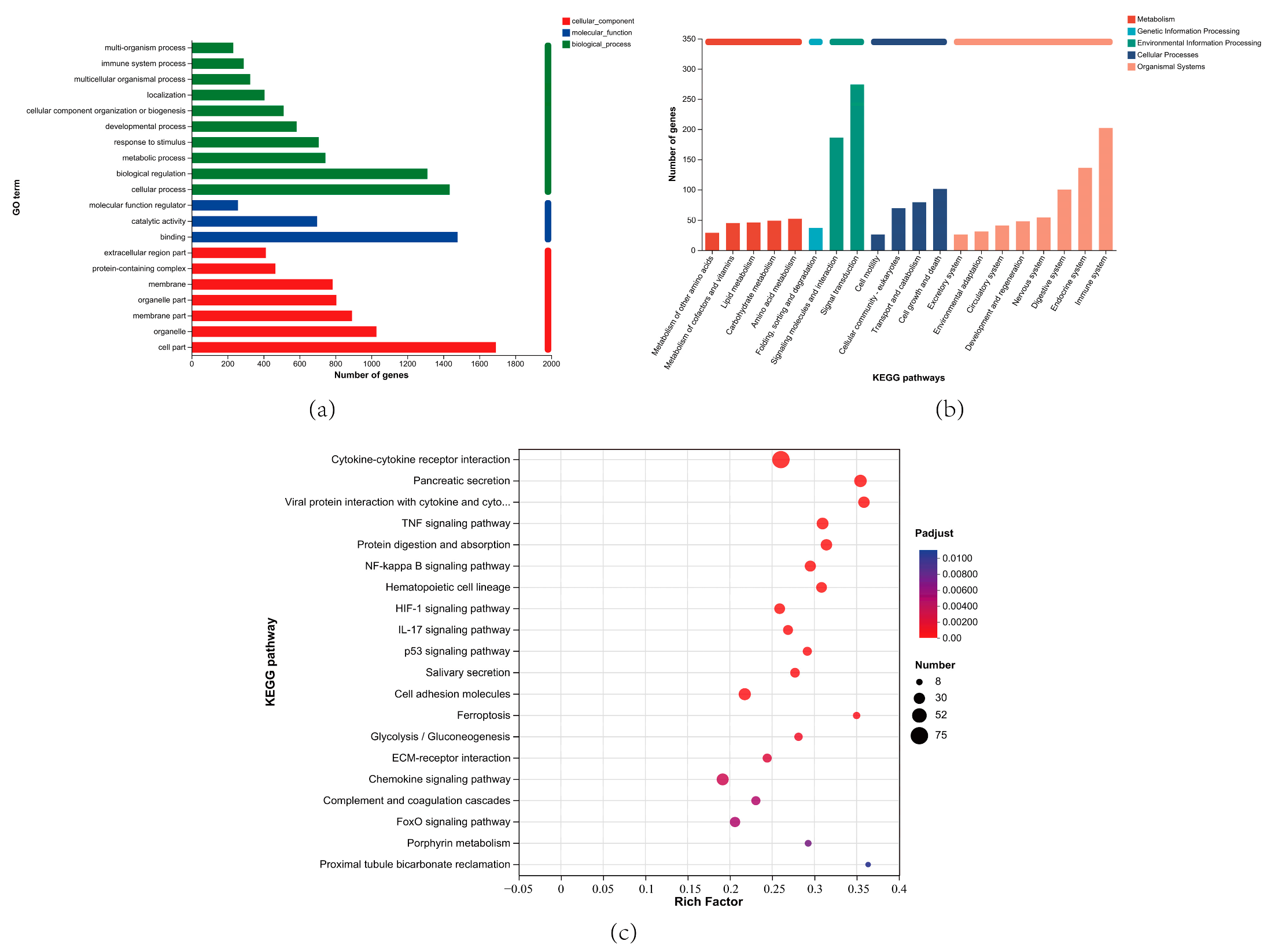 Animals 14 00317 g007