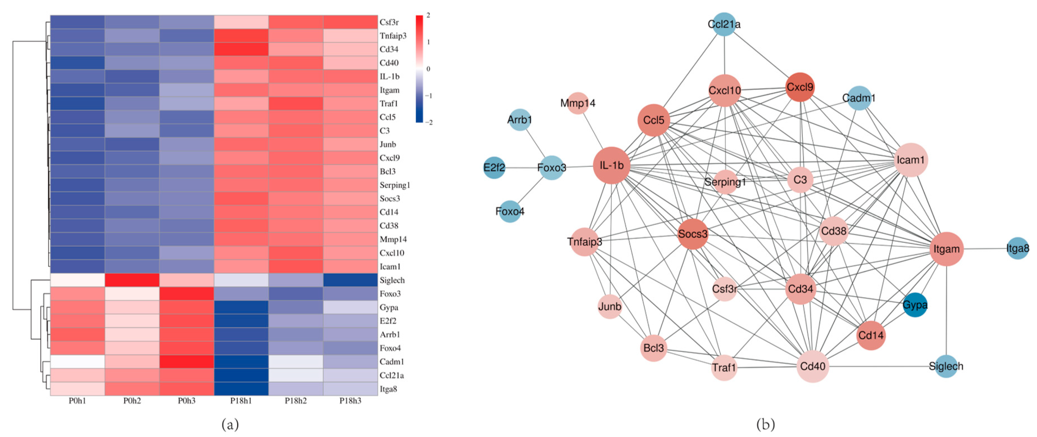 Animals 14 00317 g008