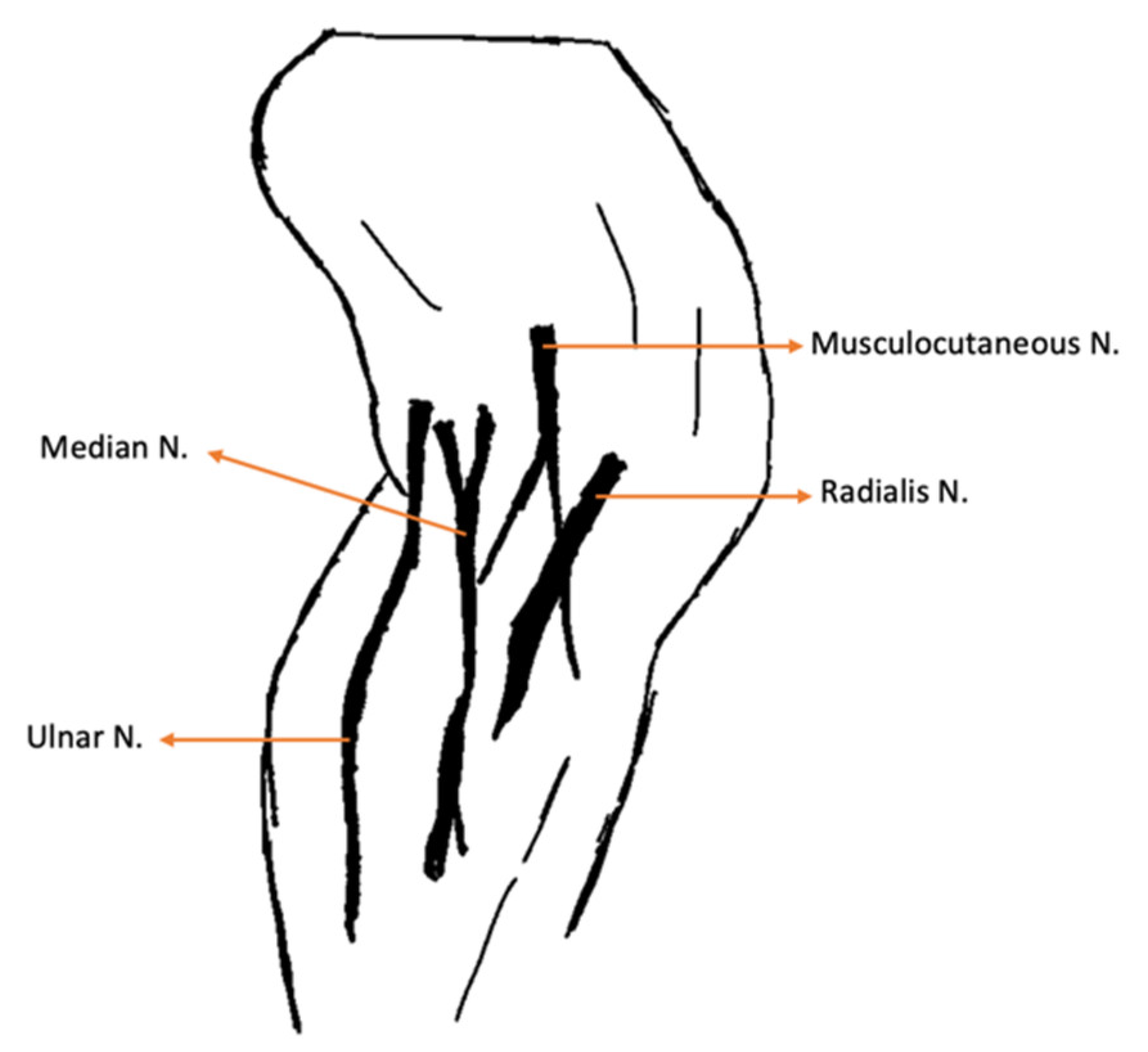 Animals 14 00323 g002