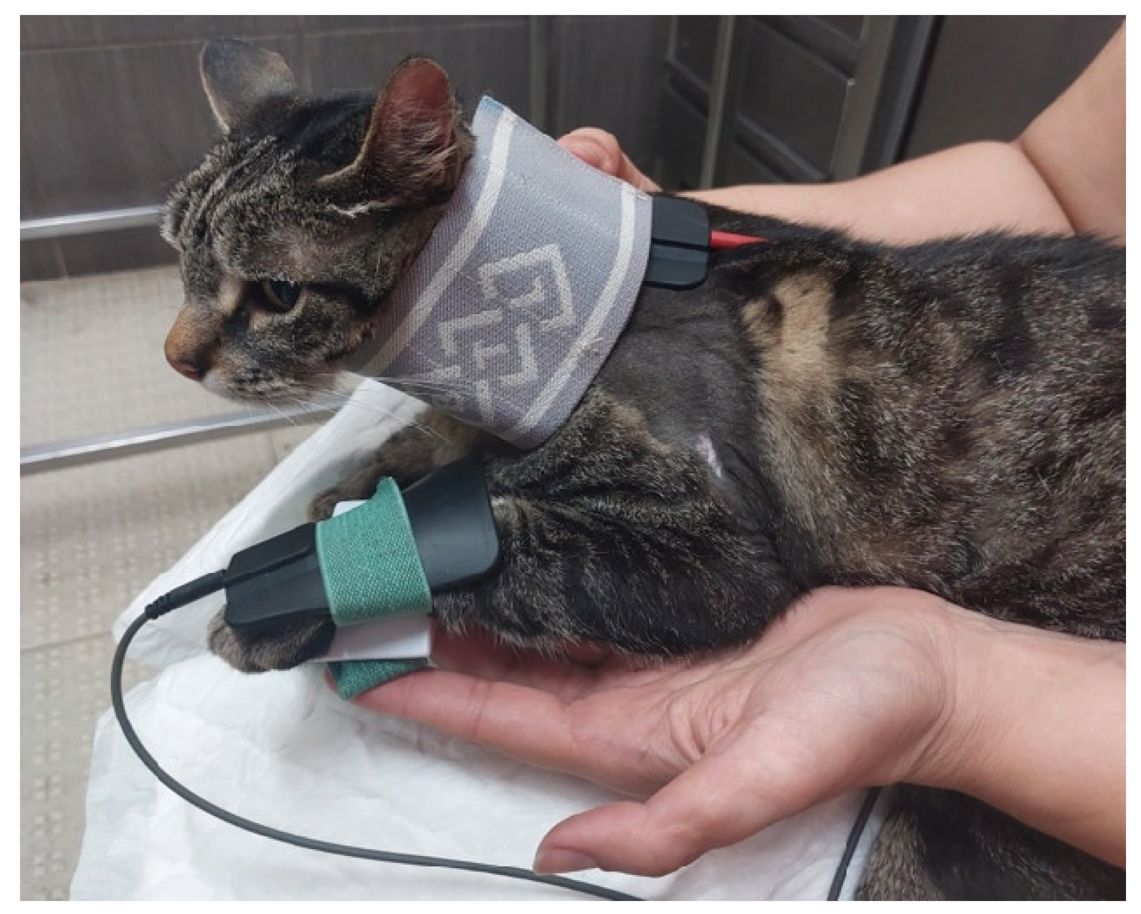 Animals 14 00323 g008