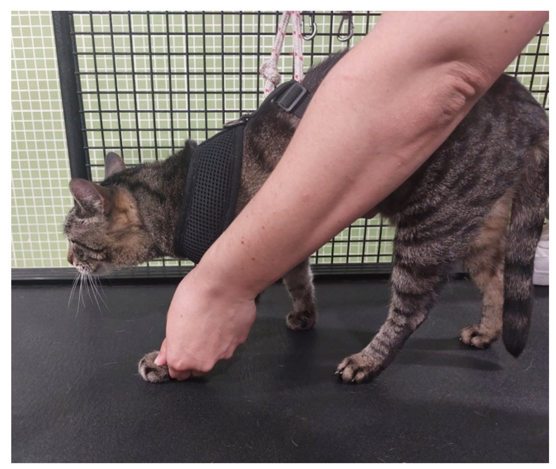 Animals 14 00323 g009