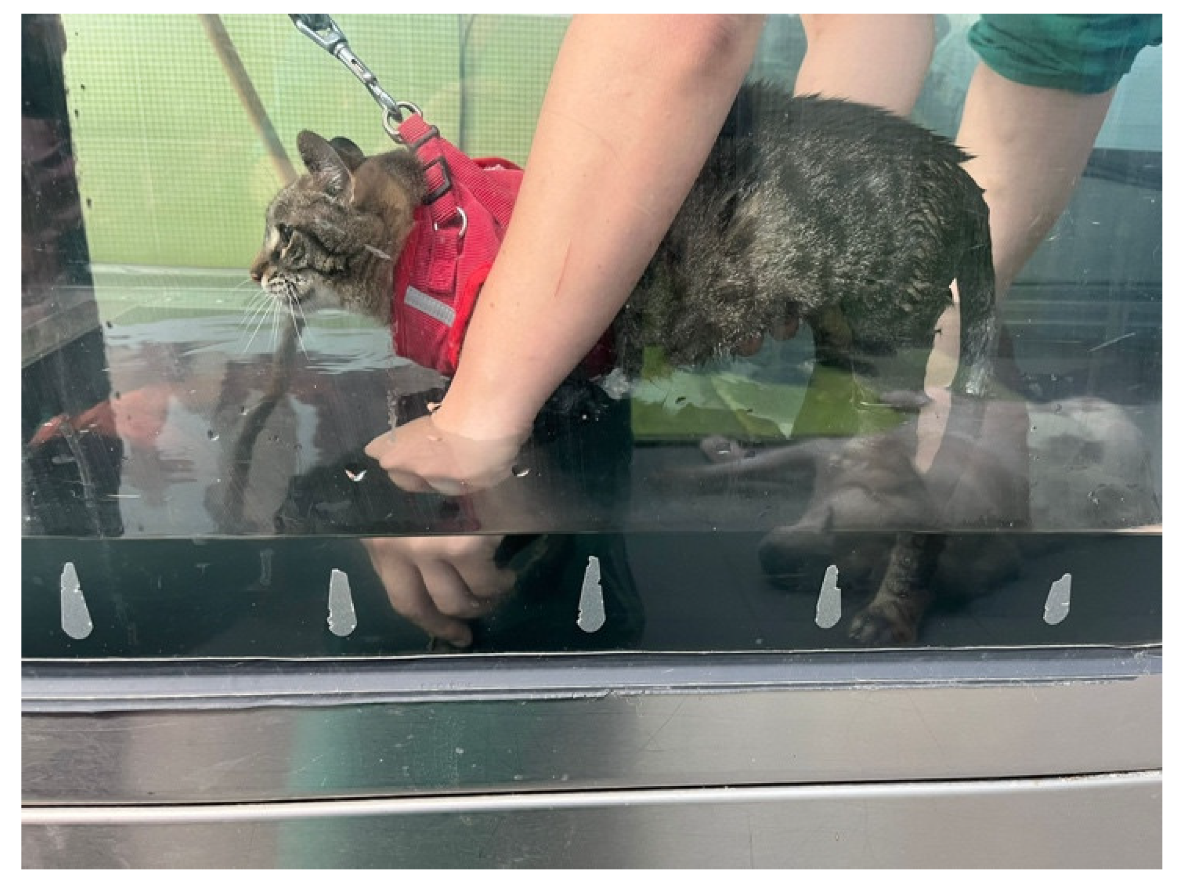 Animals 14 00323 g010