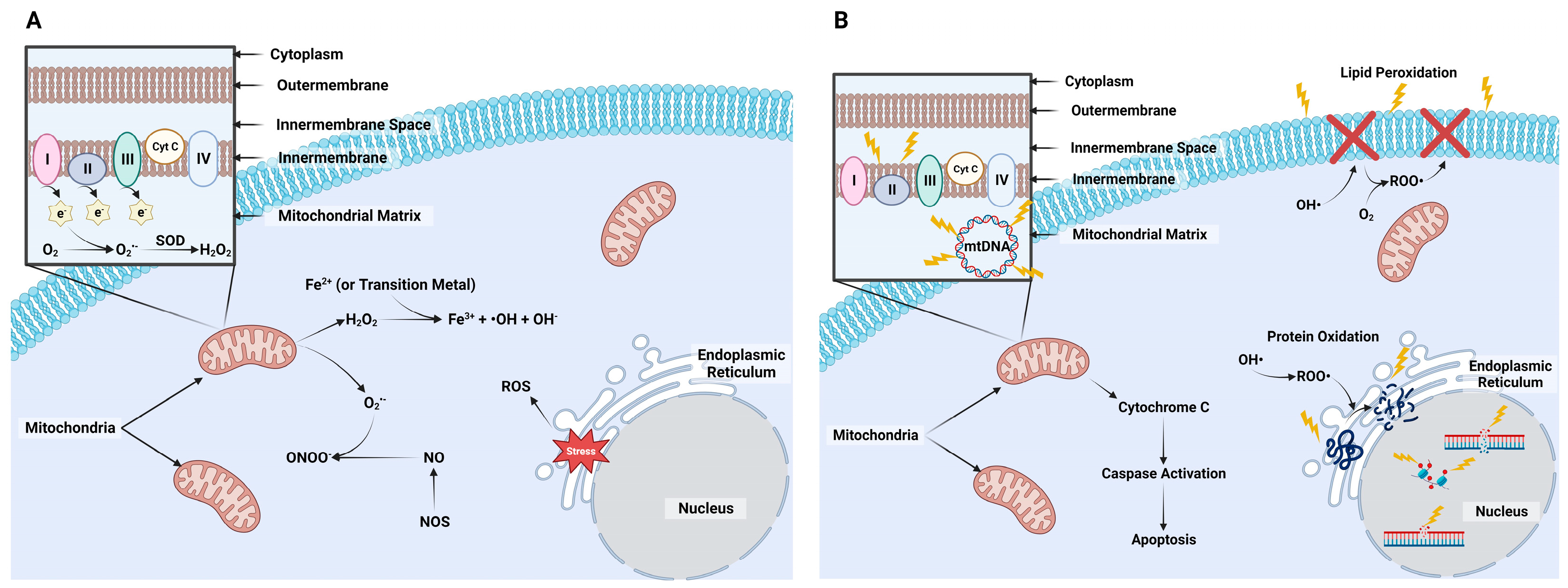 Animals 14 00330 g001 Animals 14 00330 g001