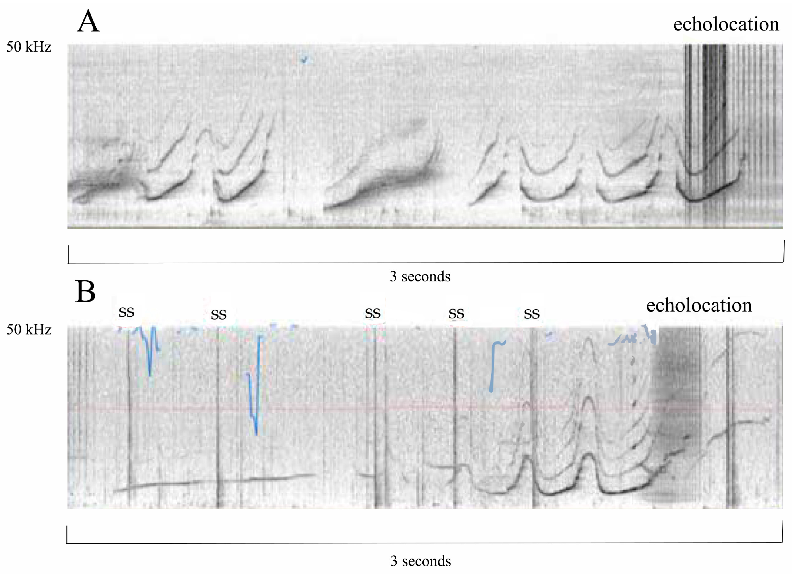 Animals 14 00335 g002