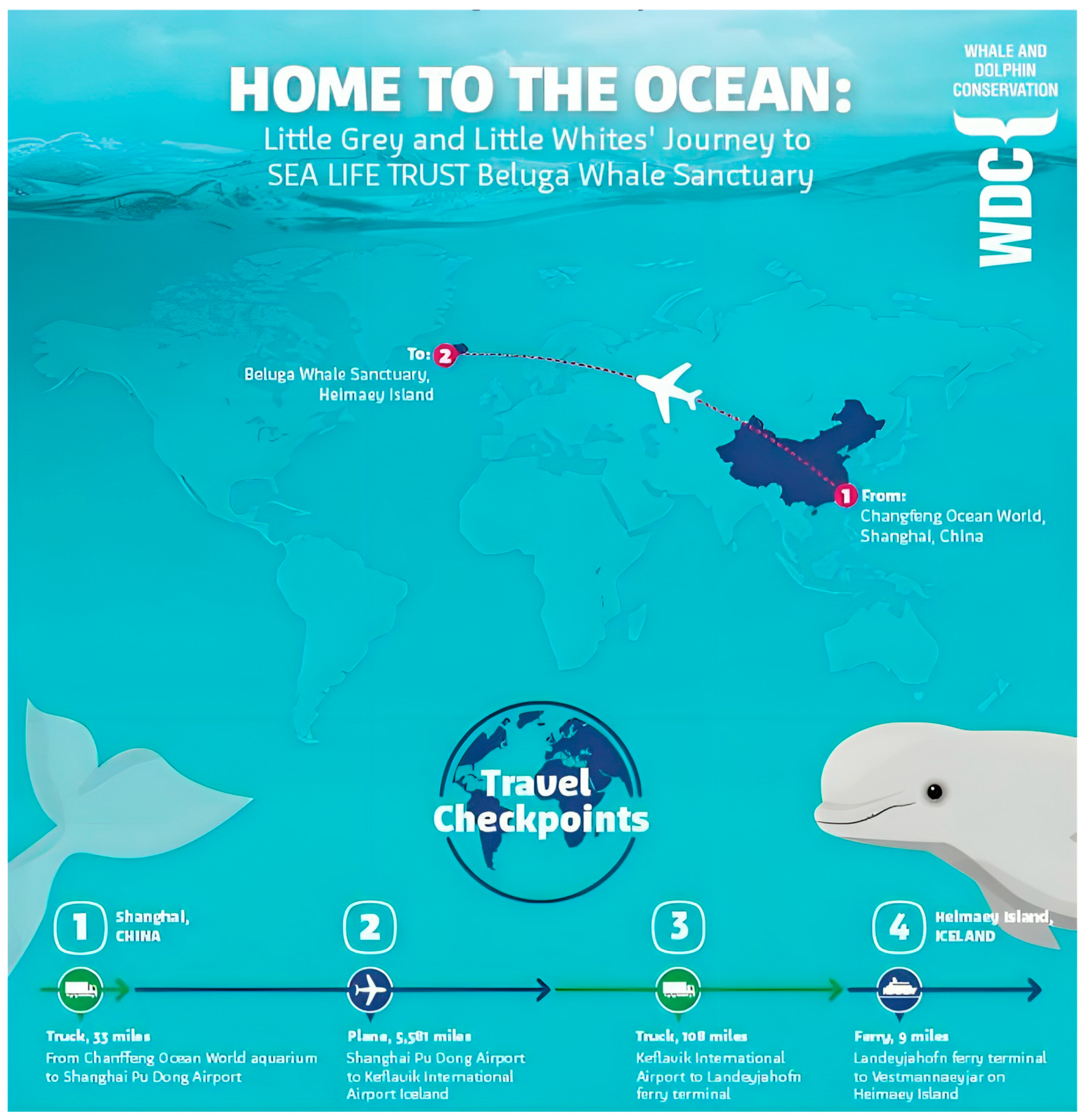 Animals 14 00335 g004