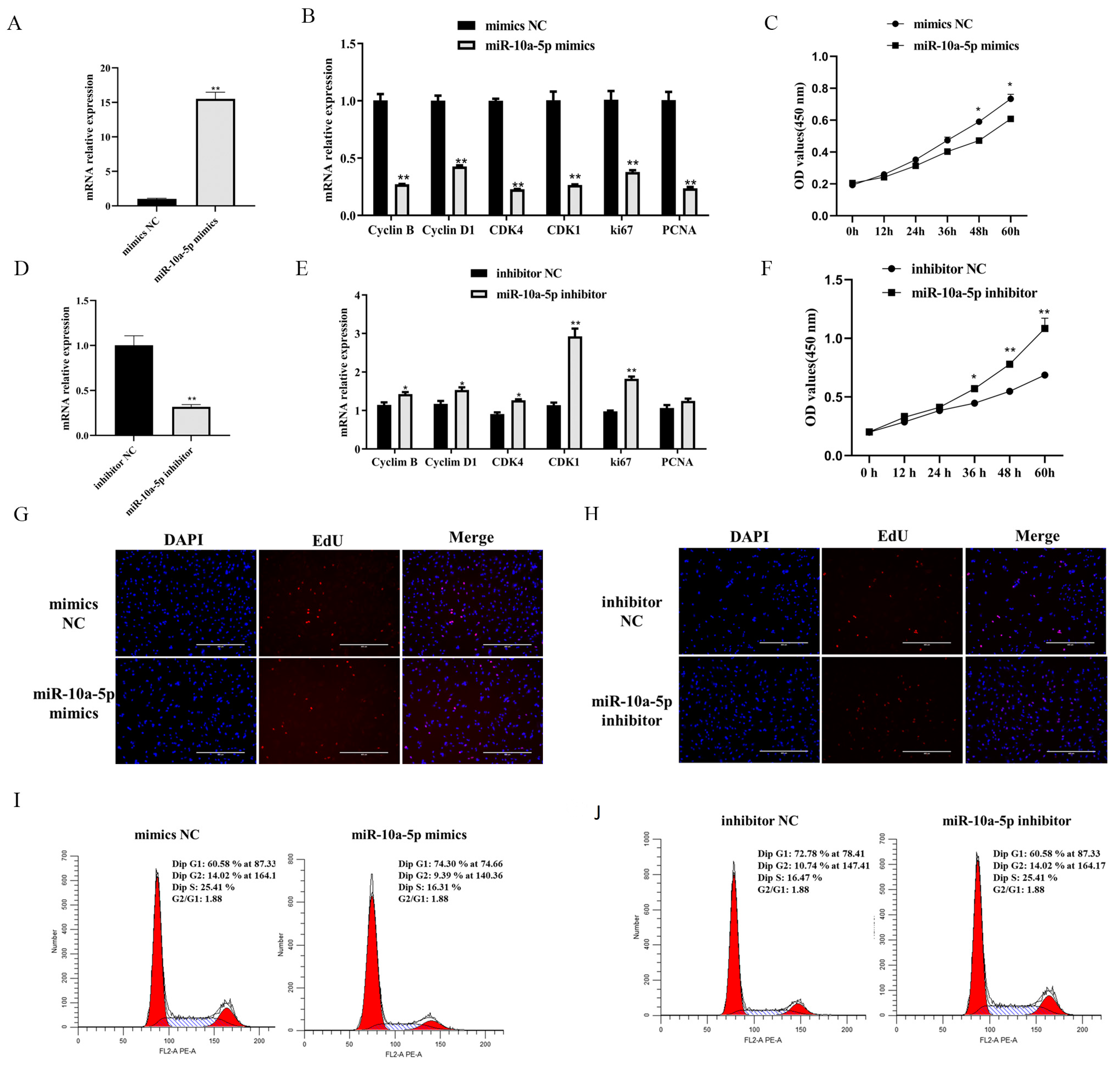 Animals 14 00337 g002