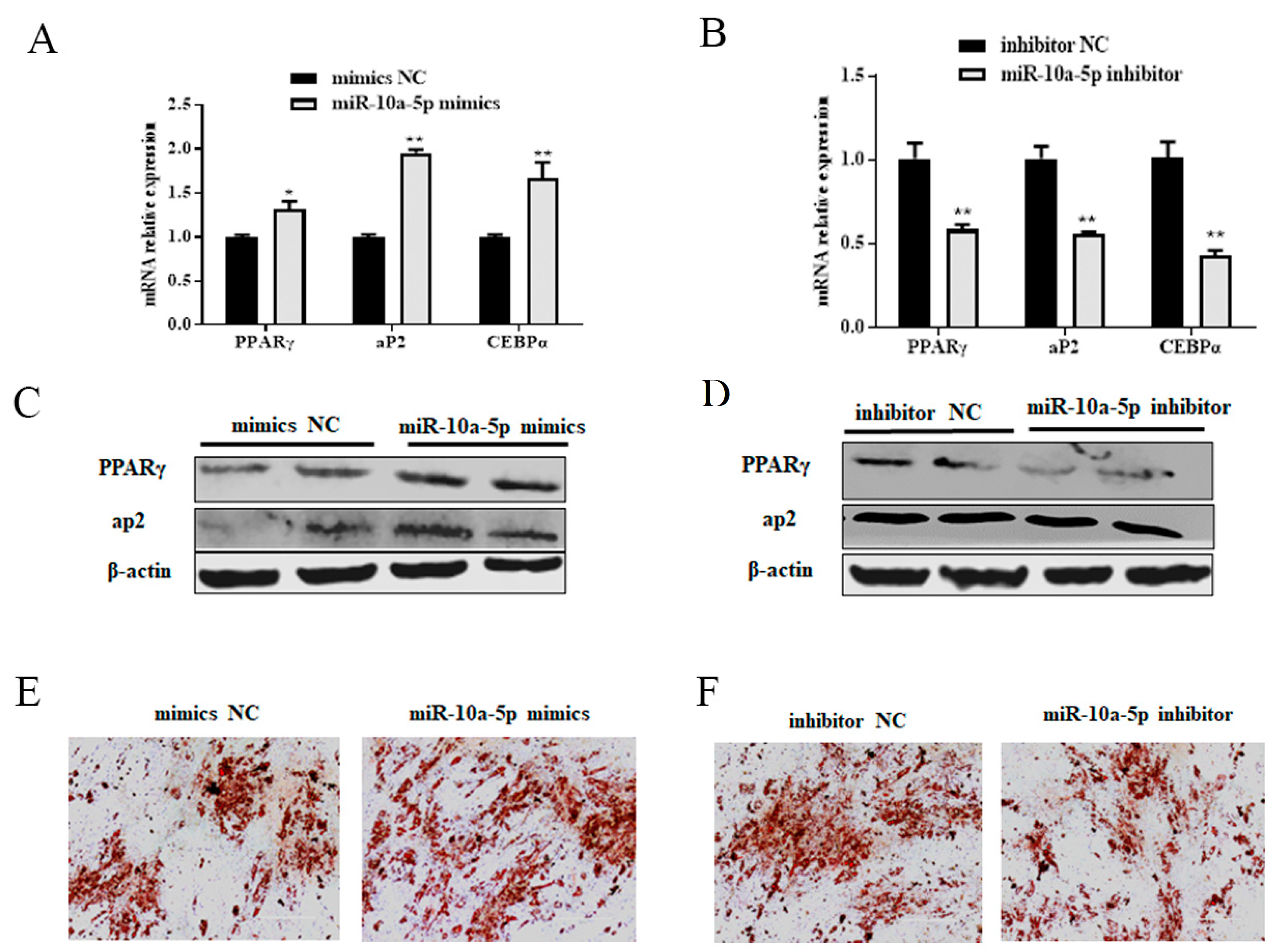 Animals 14 00337 g003