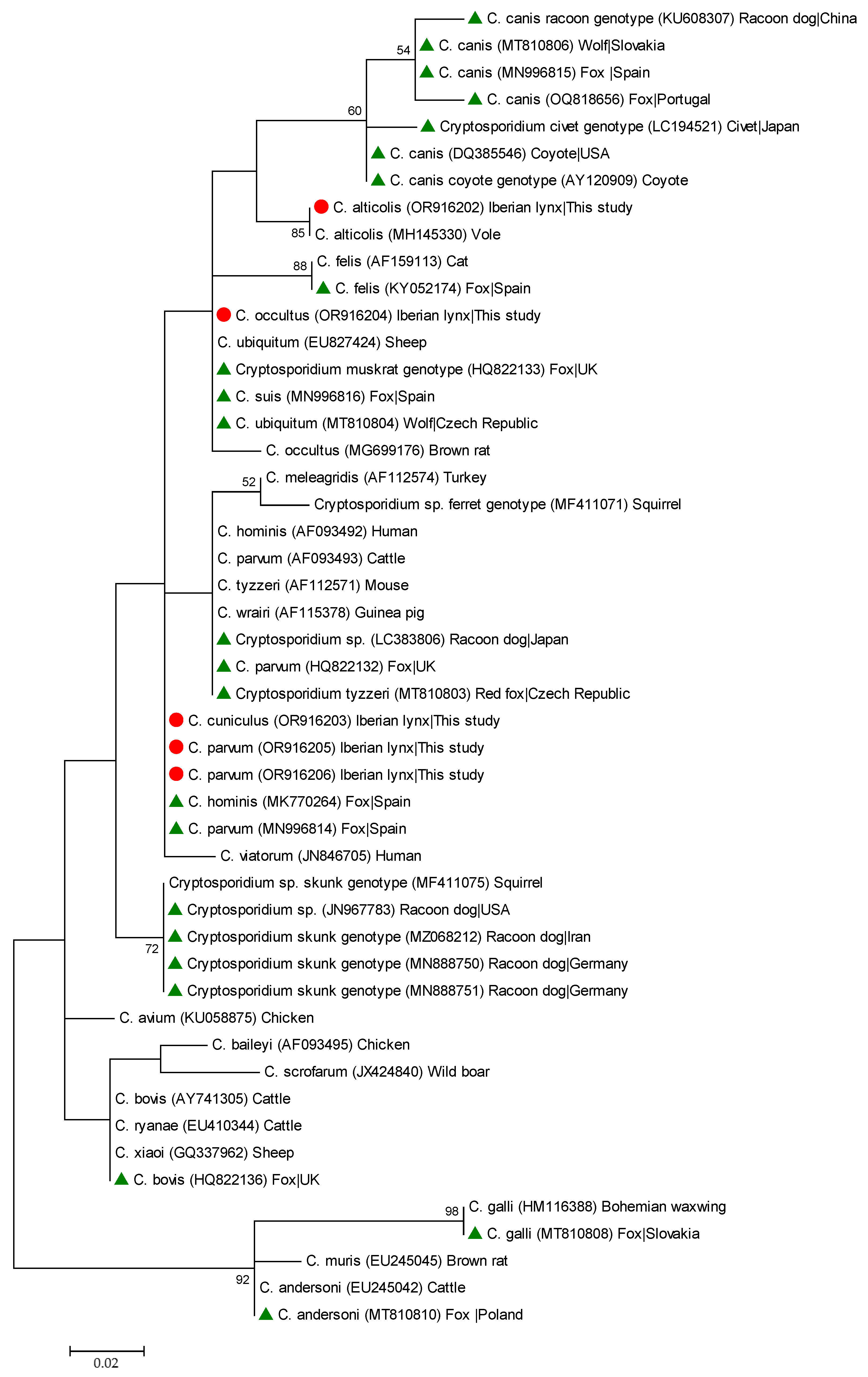 Animals 14 00340 g002 Animals 14 00340 g002