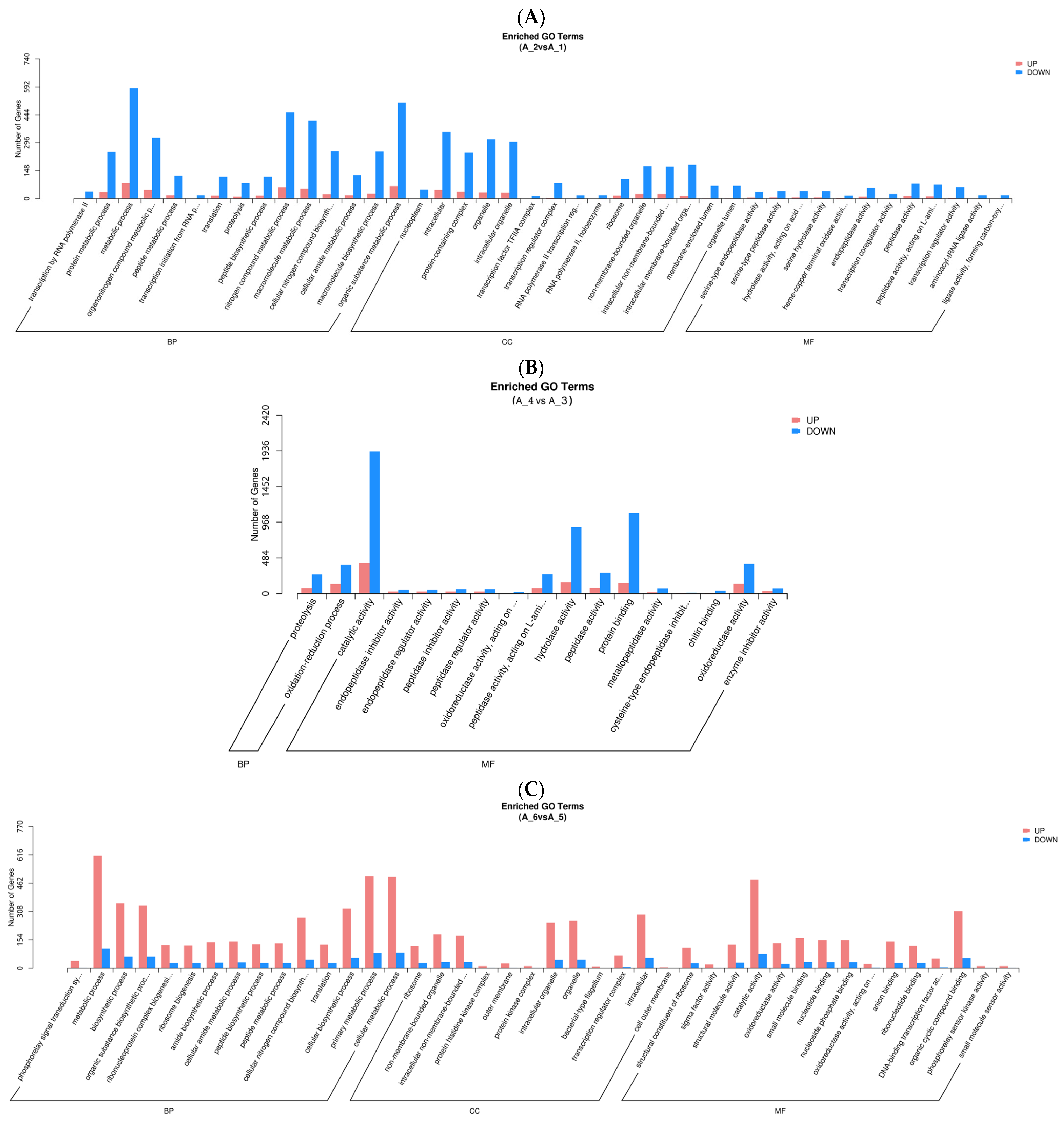 Animals 14 00352 g002a