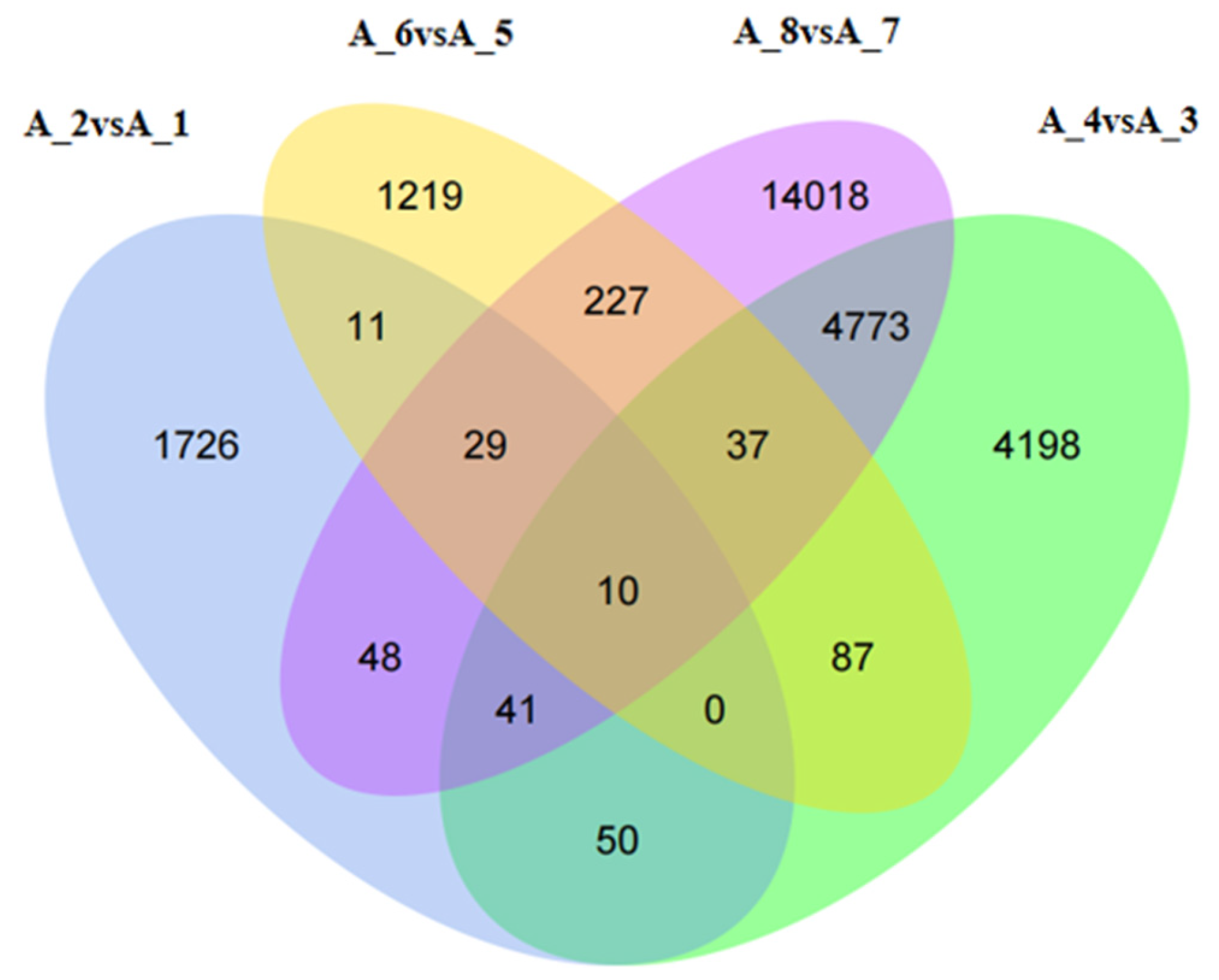 Animals 14 00352 g004