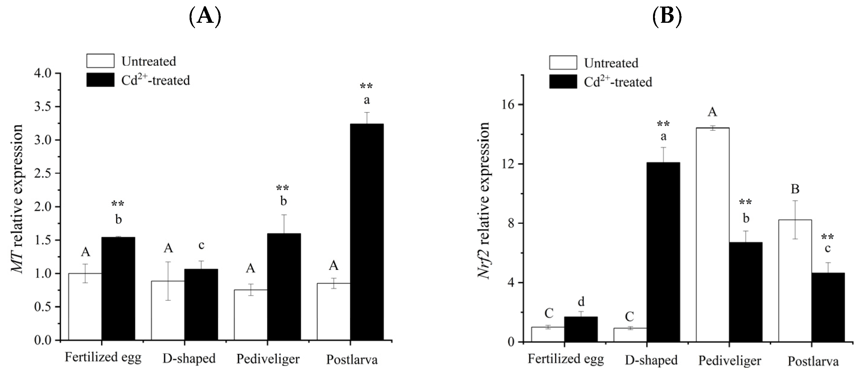 Animals 14 00352 g006