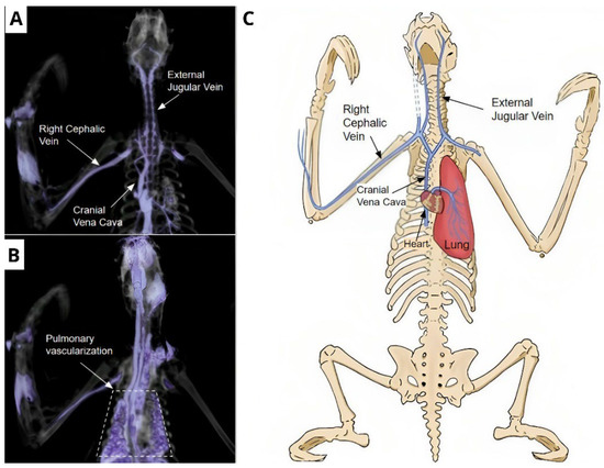 Animals 14 00355 g006
