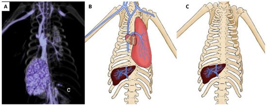 Animals 14 00355 g007
