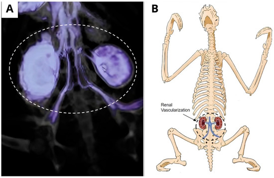 Animals 14 00355 g008