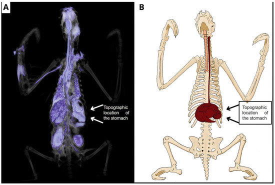 Animals 14 00355 g009