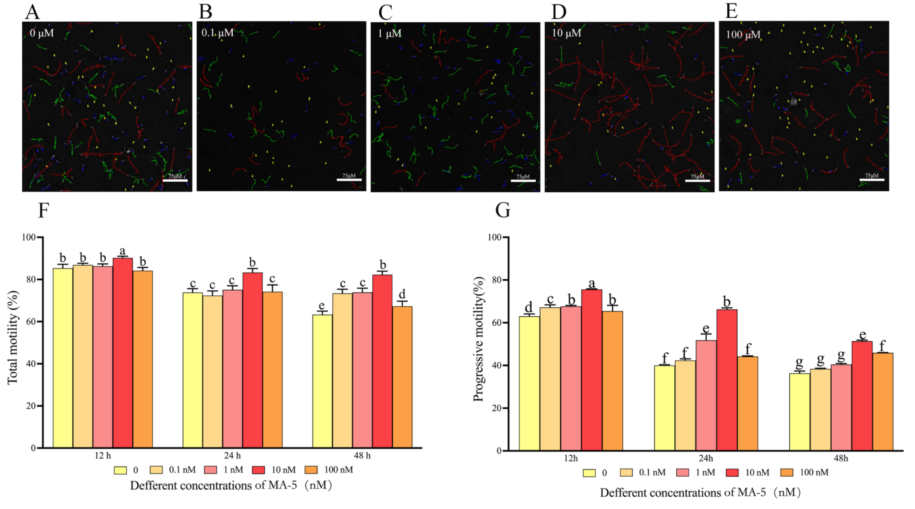 Animals 14 00368 g001