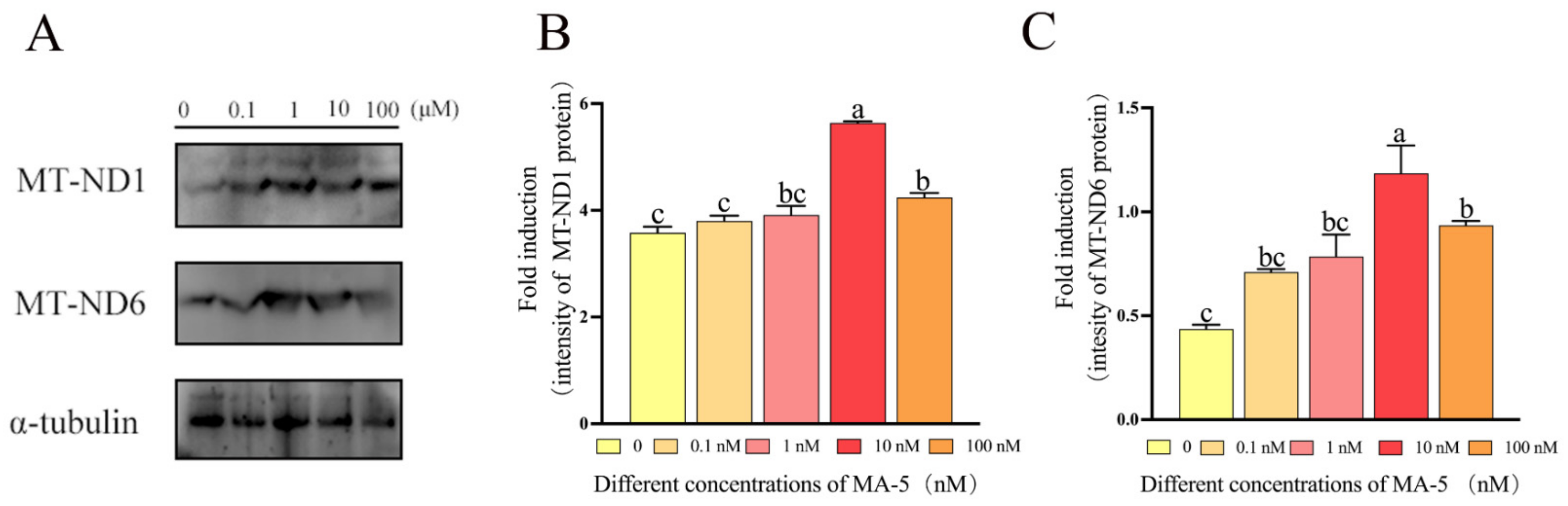 Animals 14 00368 g006