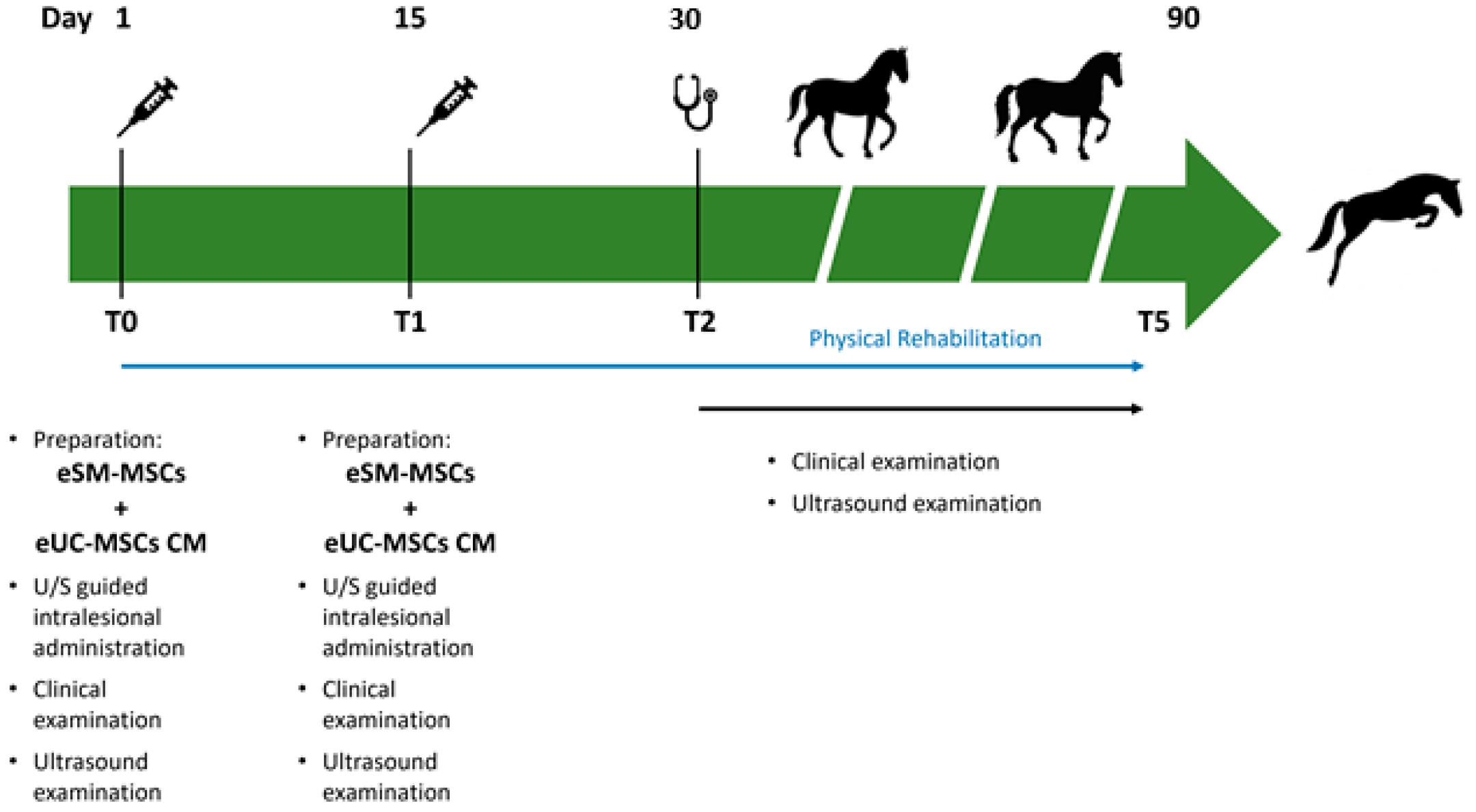 Animals 14 00370 g002