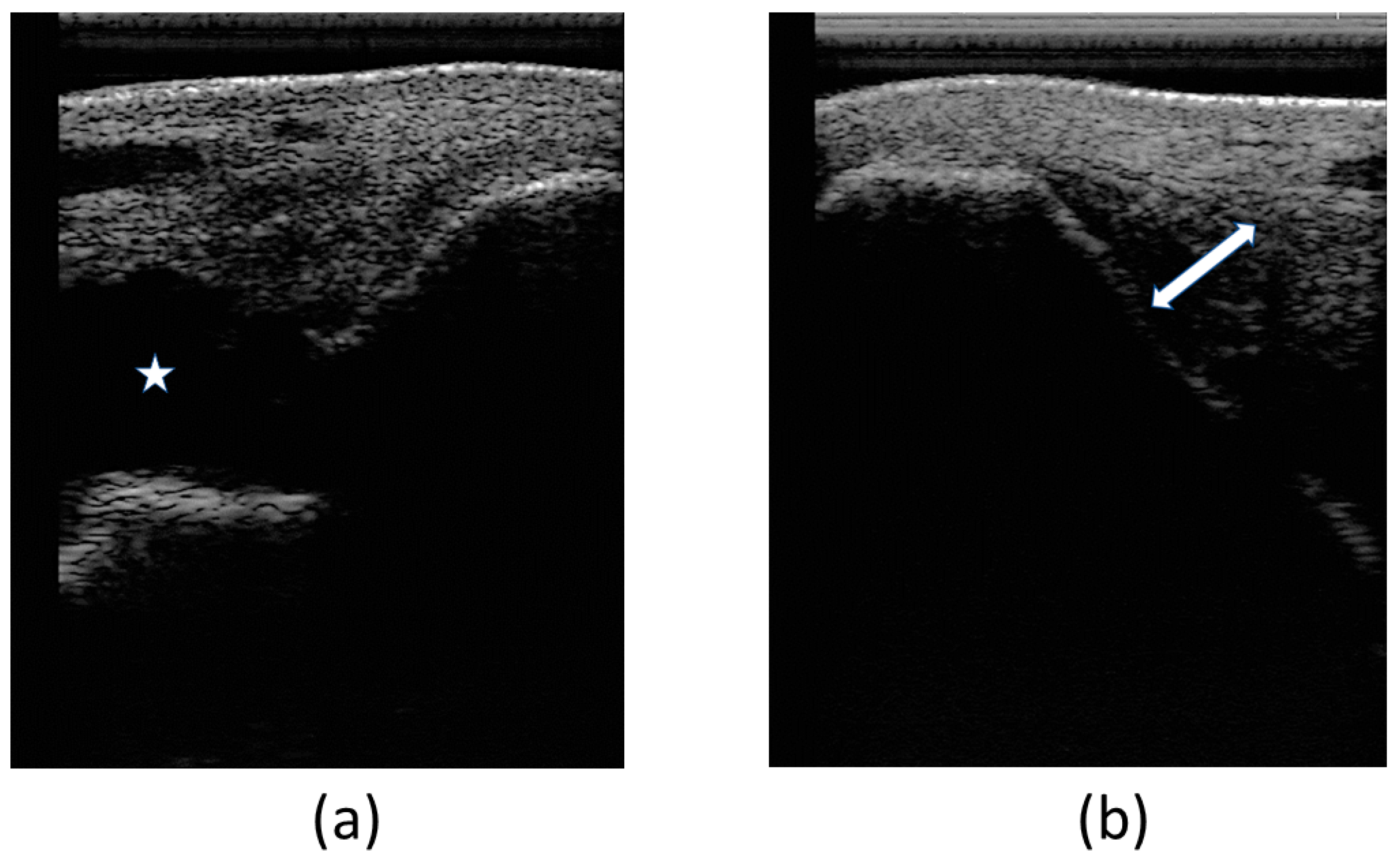 Animals 14 00370 g004