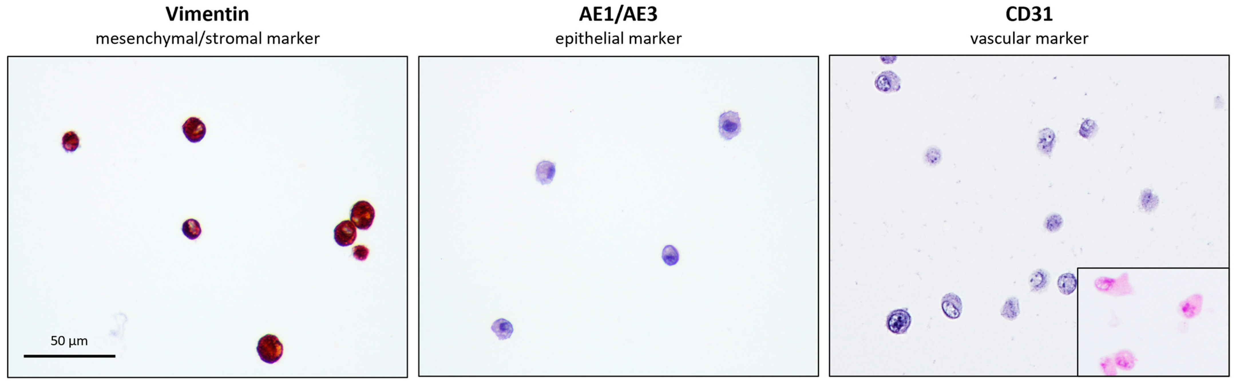 Animals 14 00370 g007