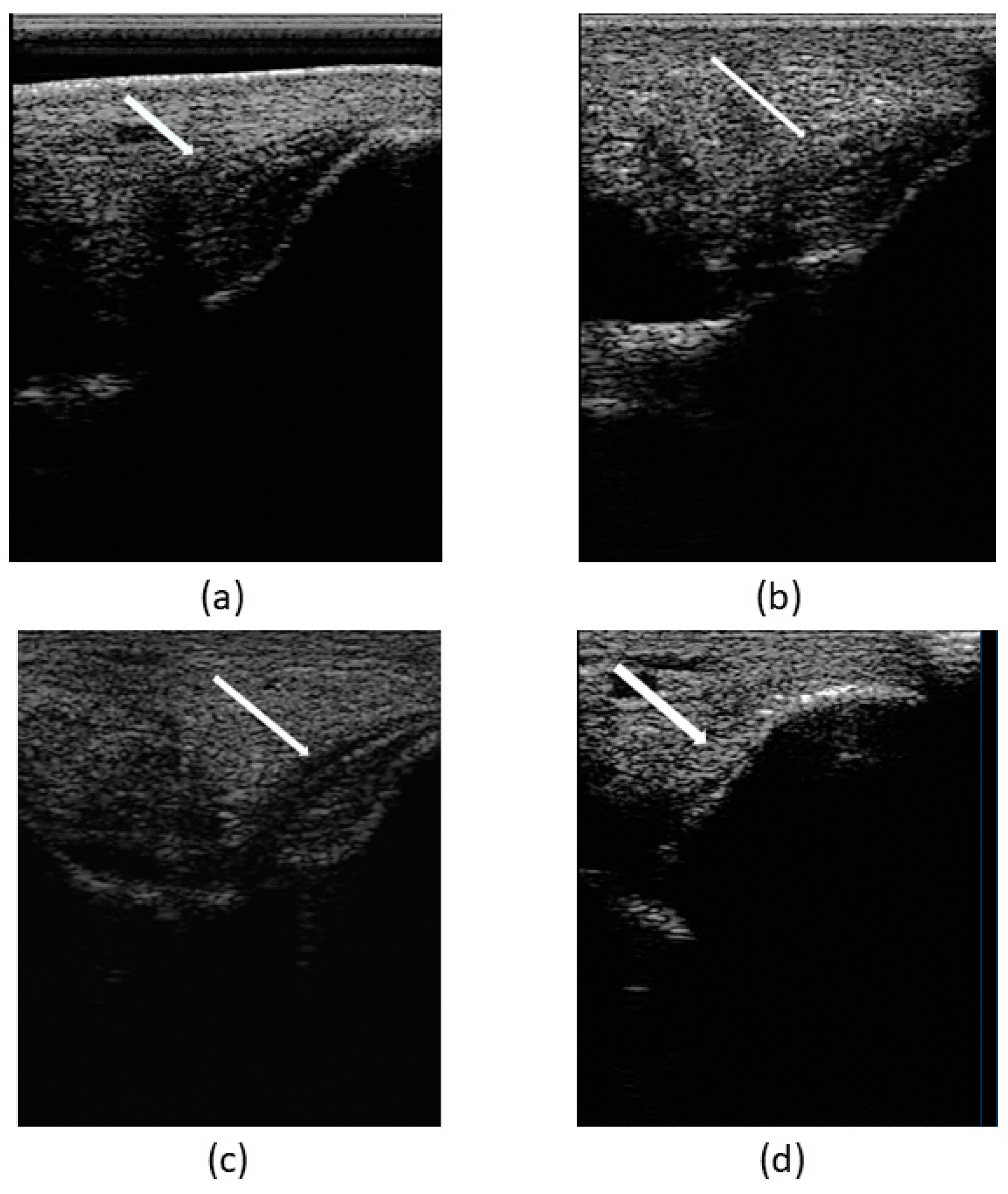 Animals 14 00370 g008