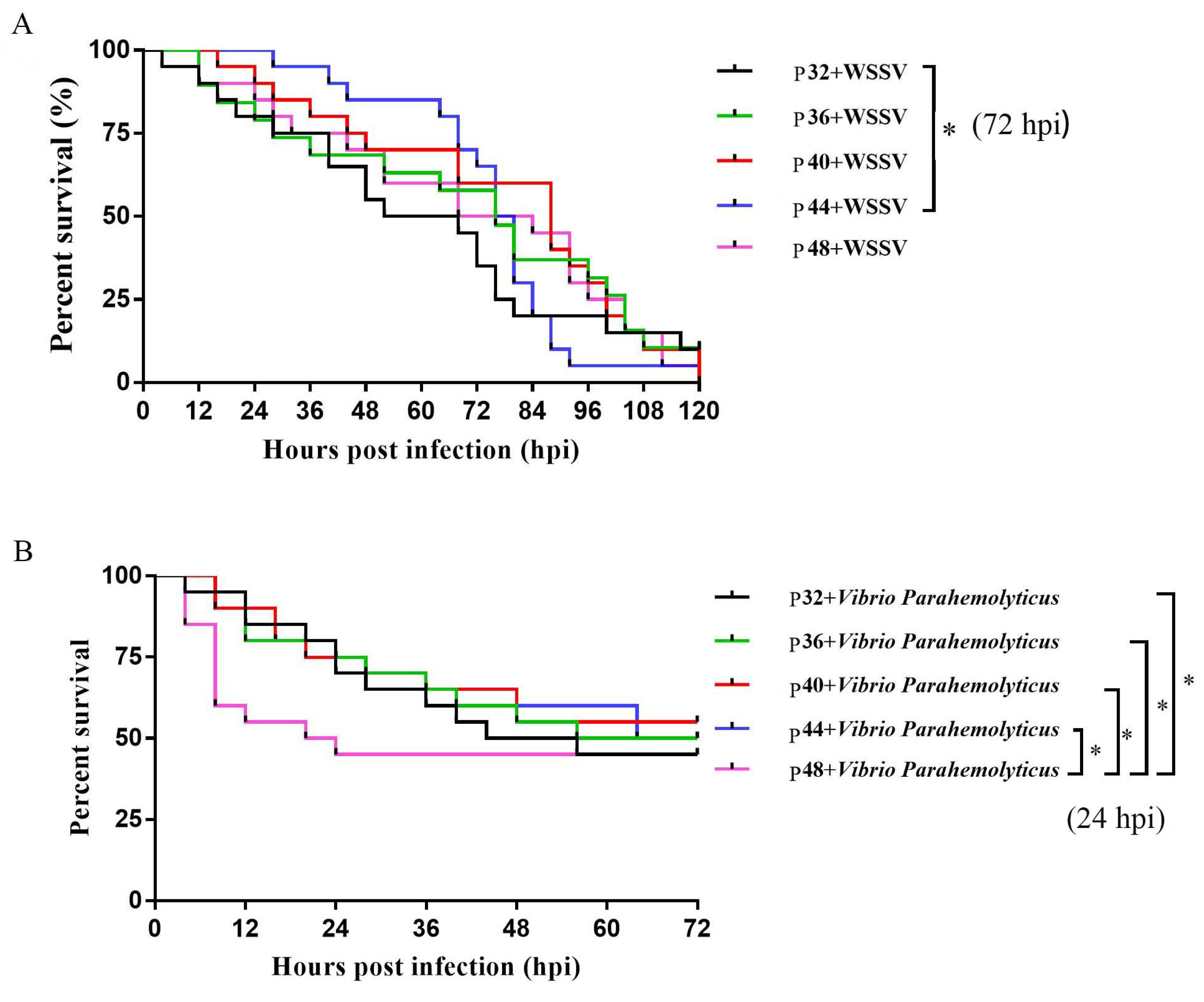 Animals 14 00372 g001