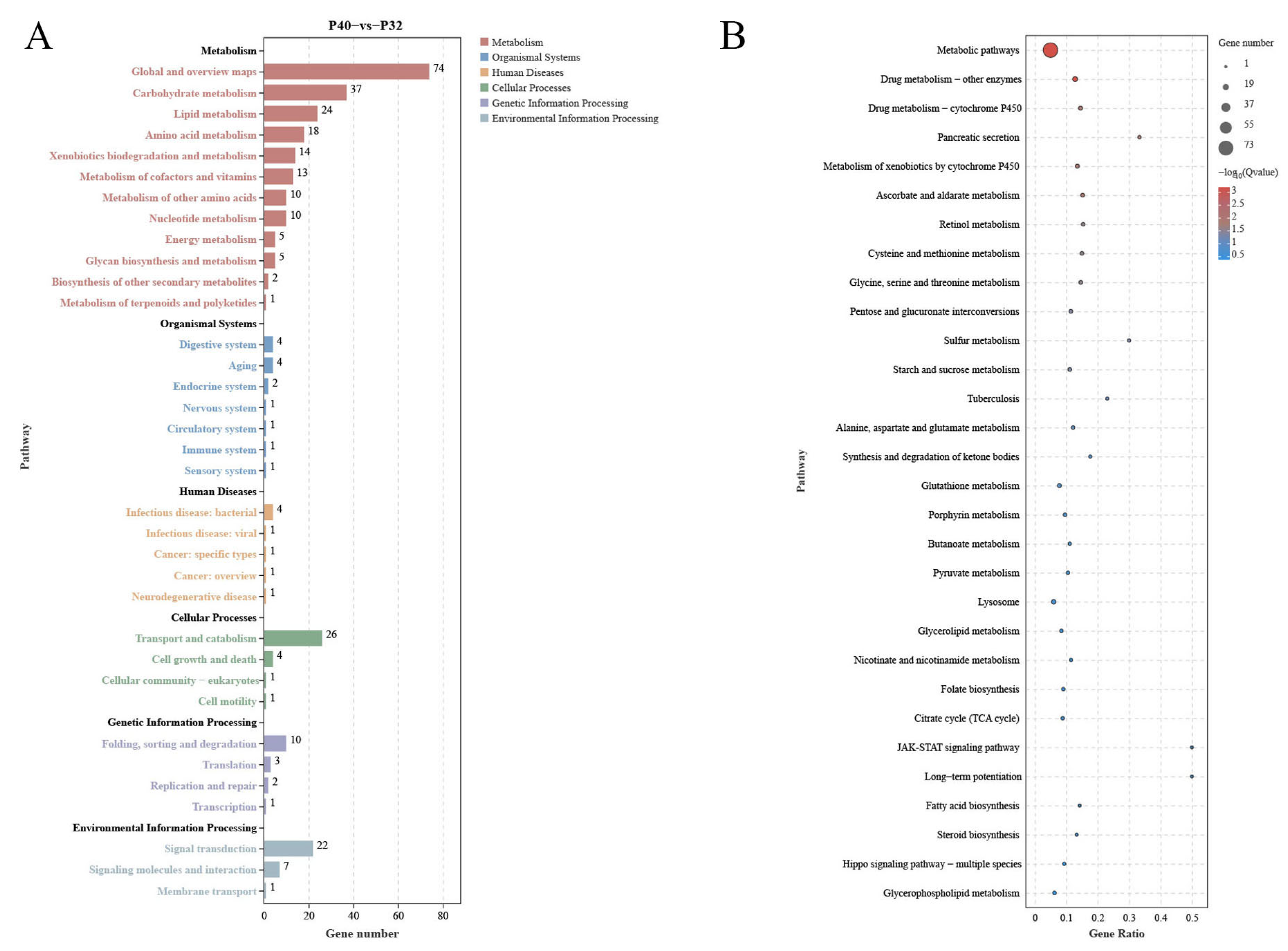 Animals 14 00372 g008
