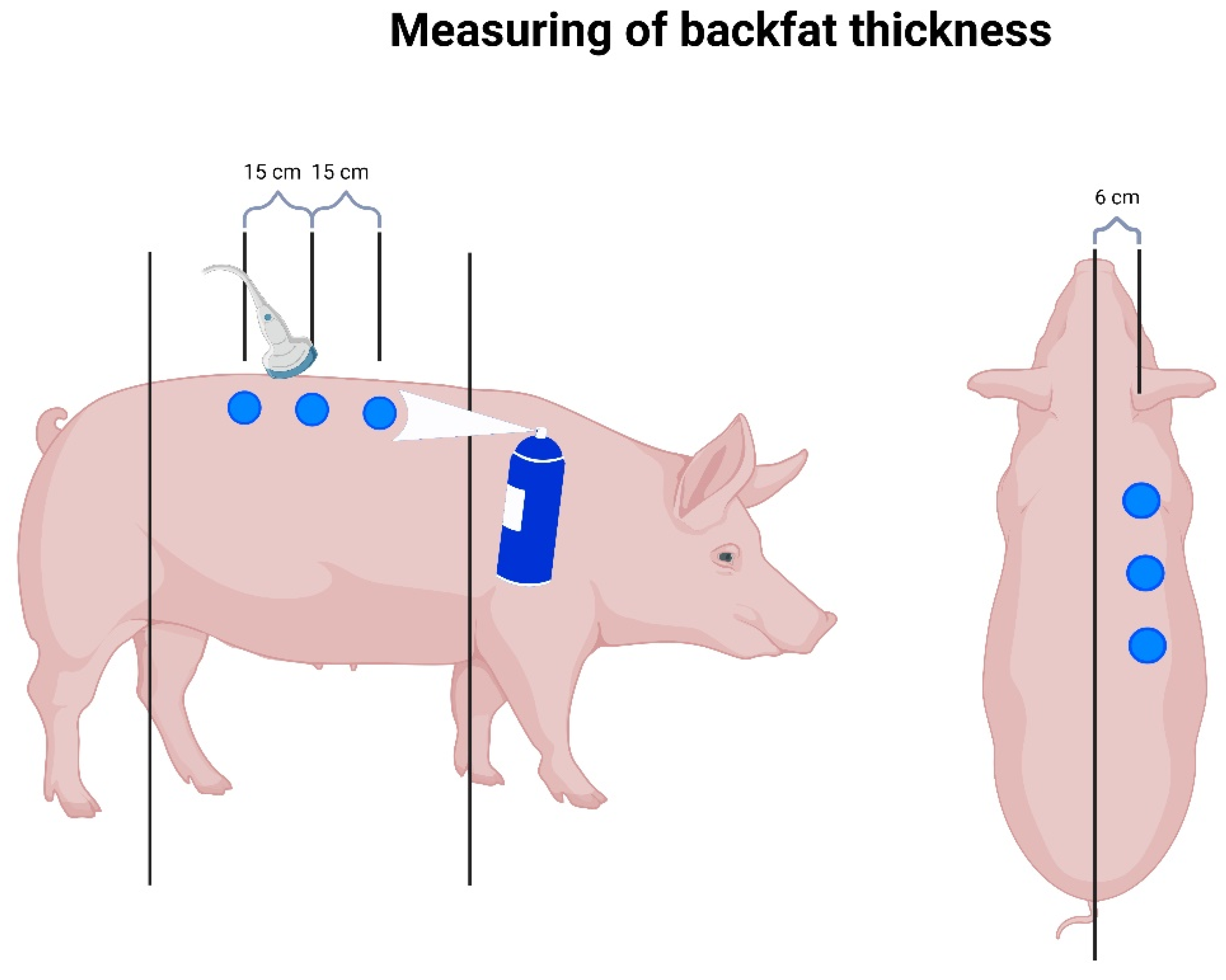 Animals 14 00380 g003