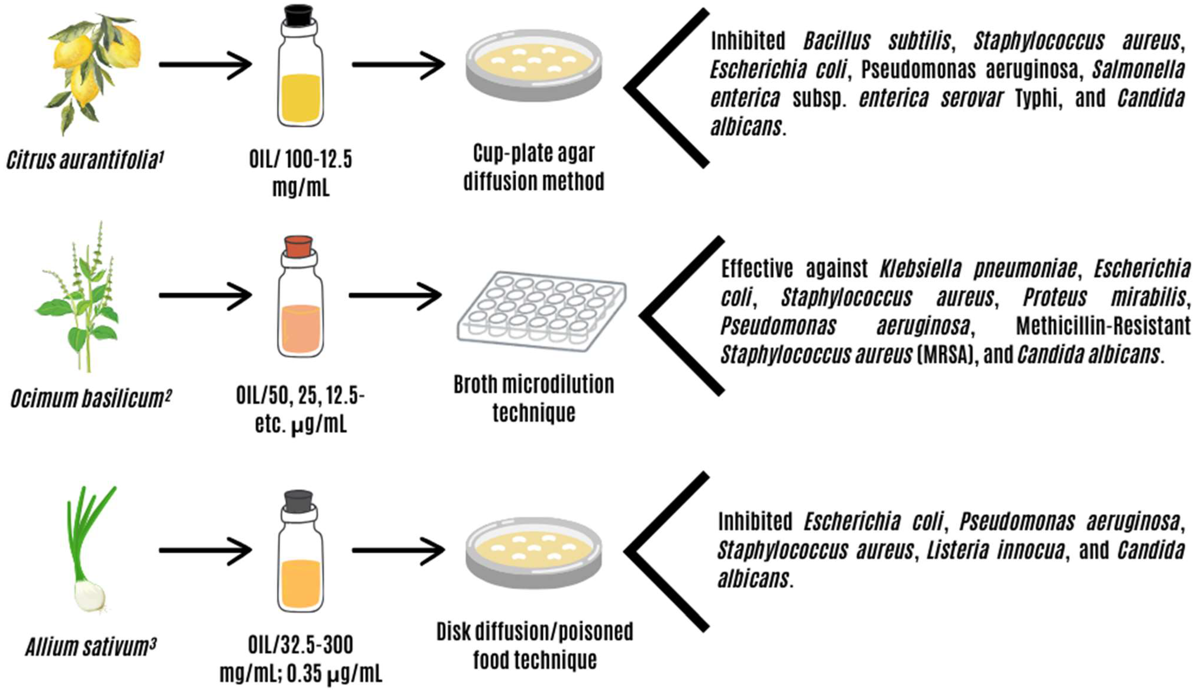 Animals 14 00382 g001