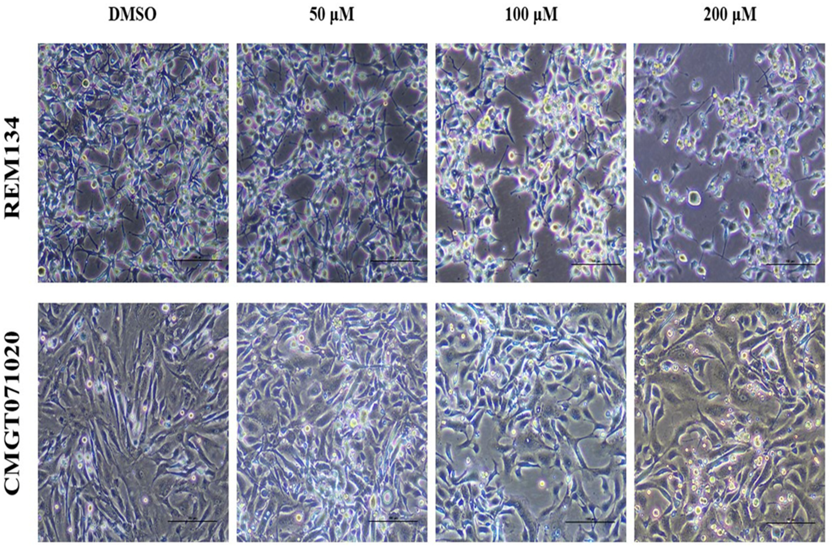 Animals 14 00386 g003