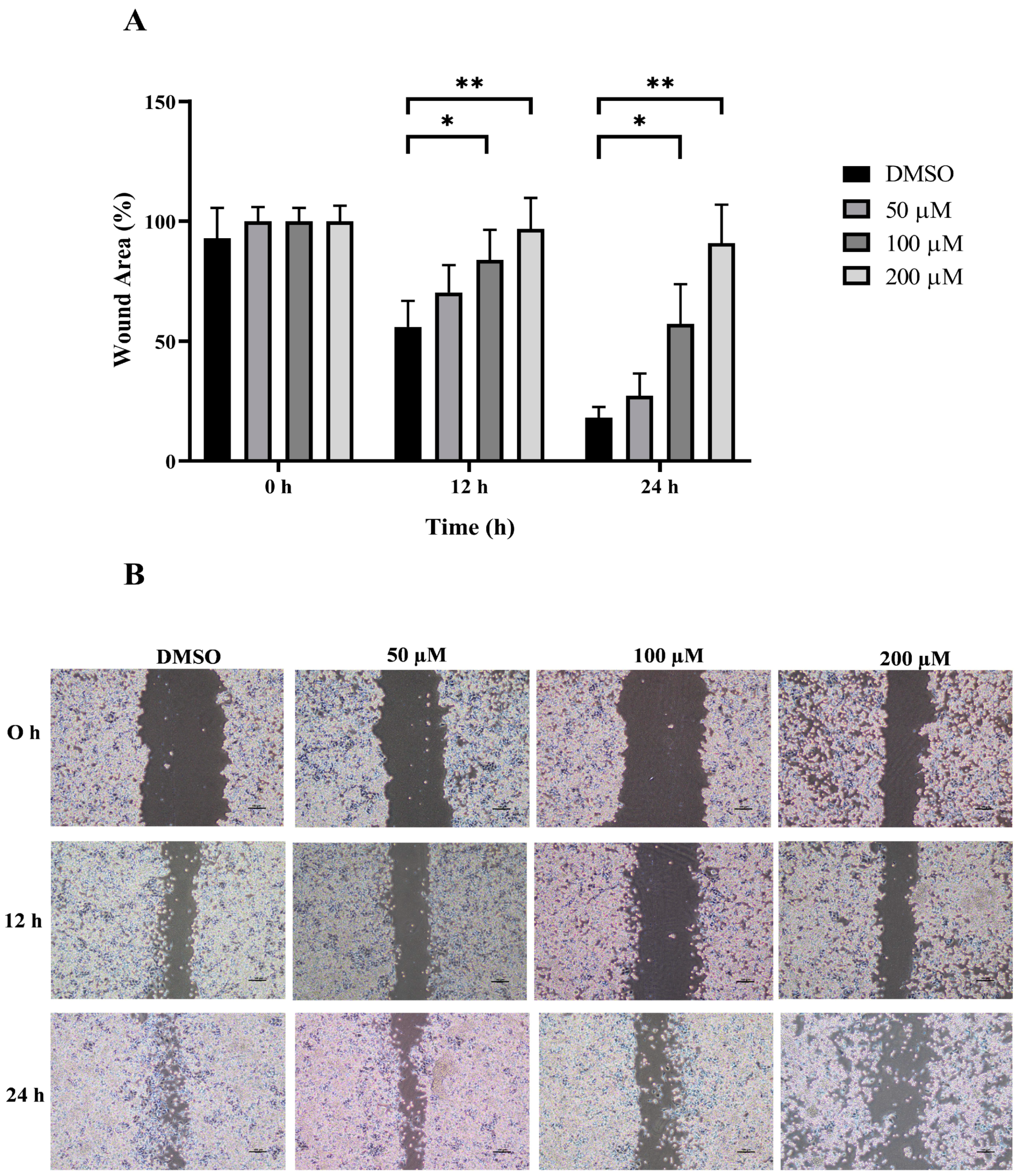 Animals 14 00386 g004