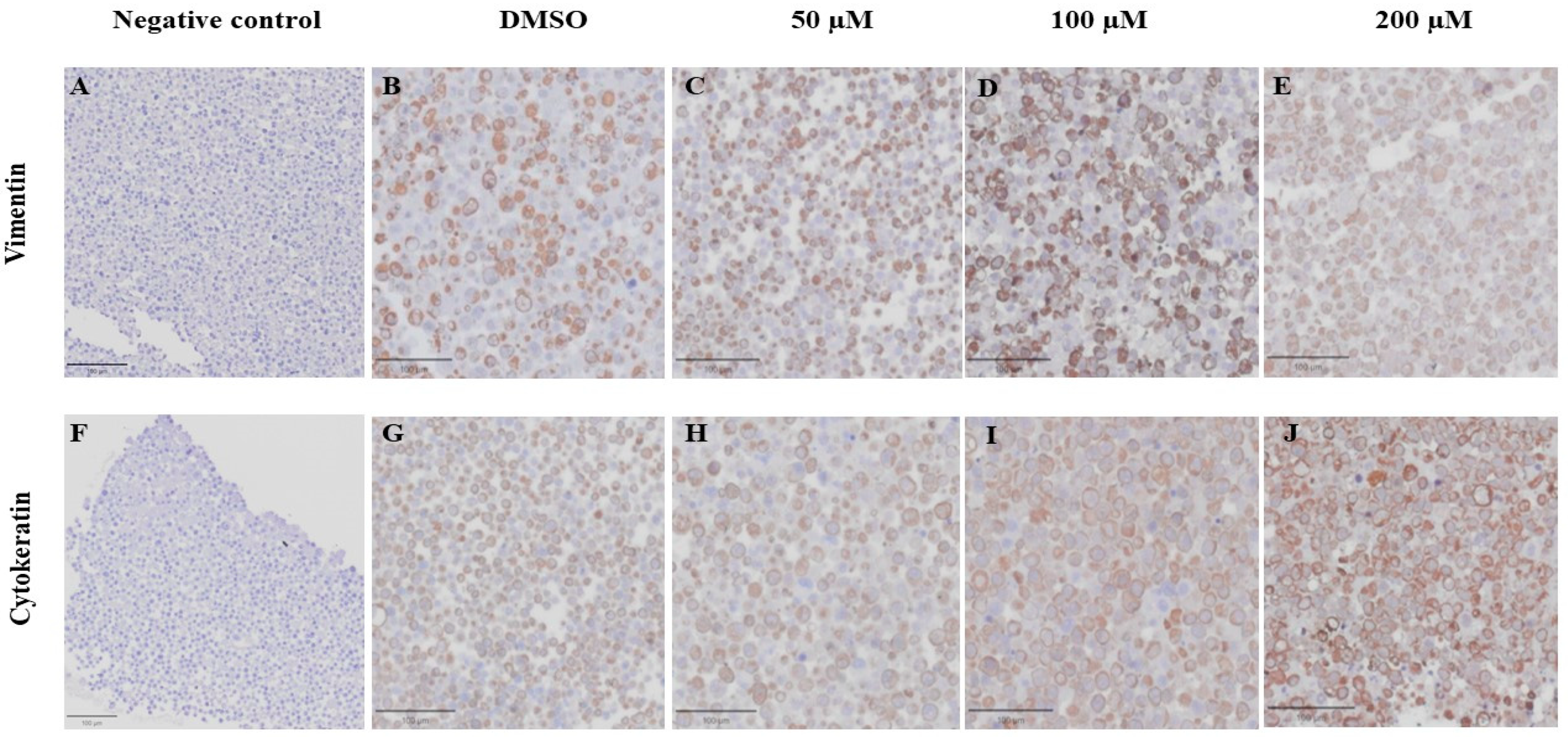 Animals 14 00386 g011