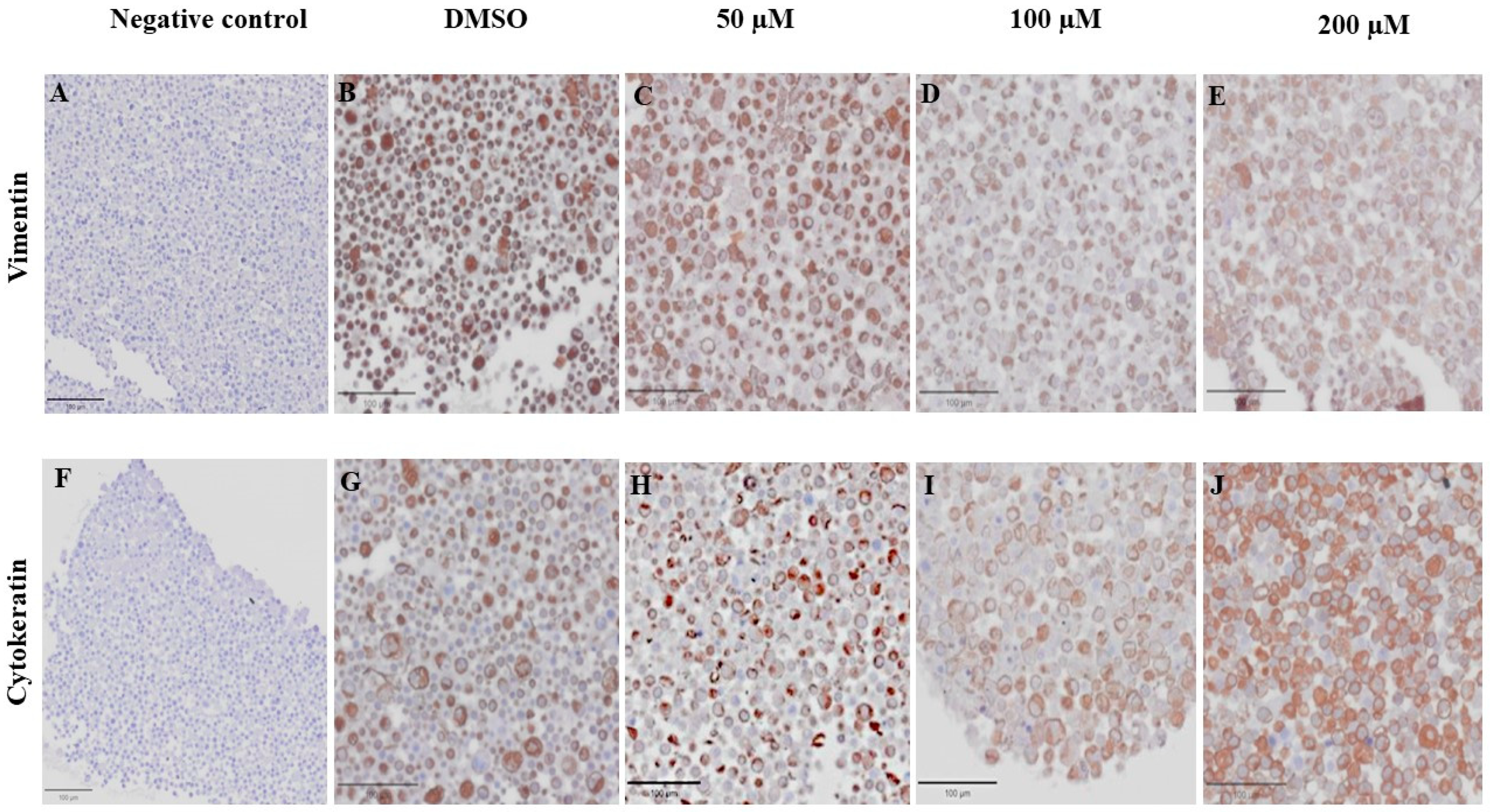 Animals 14 00386 g012