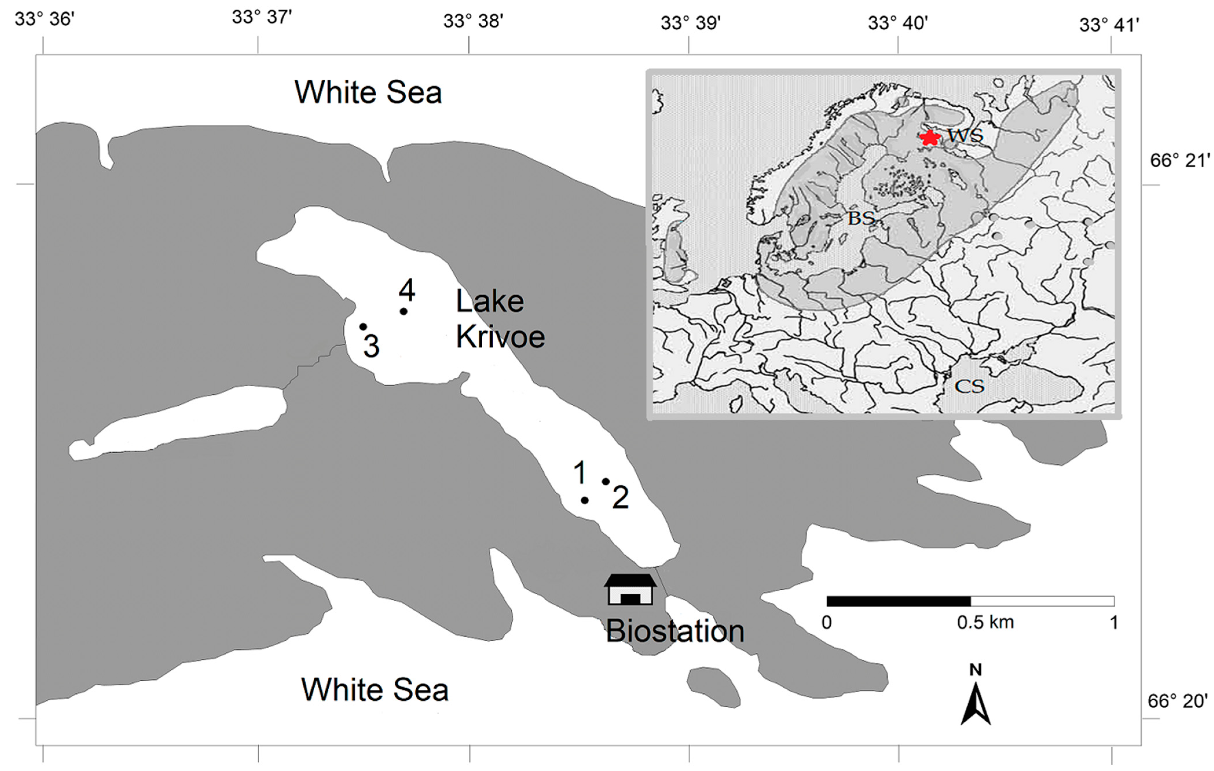 Animals 14 00394 g001