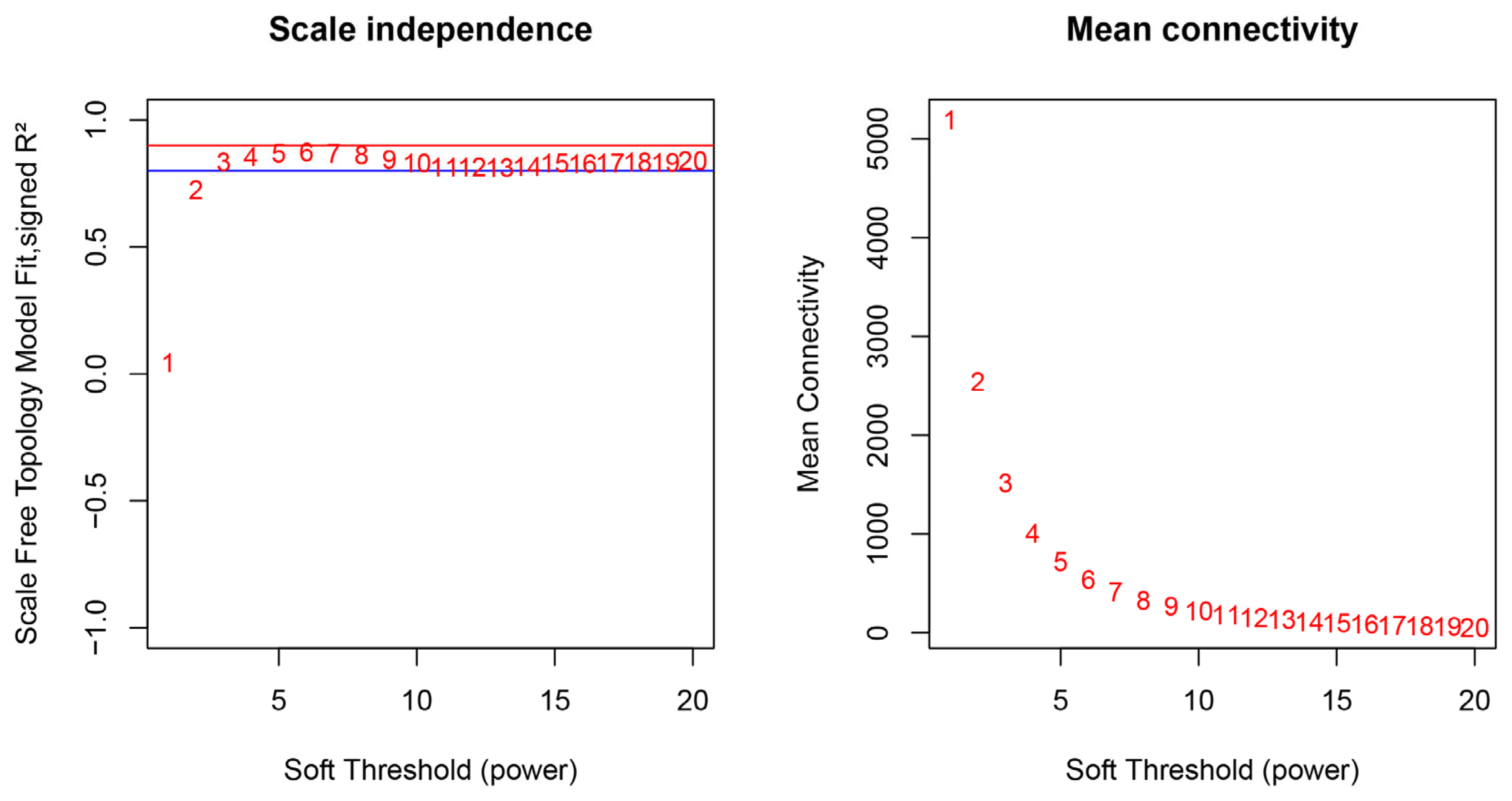 Animals 14 00402 g001