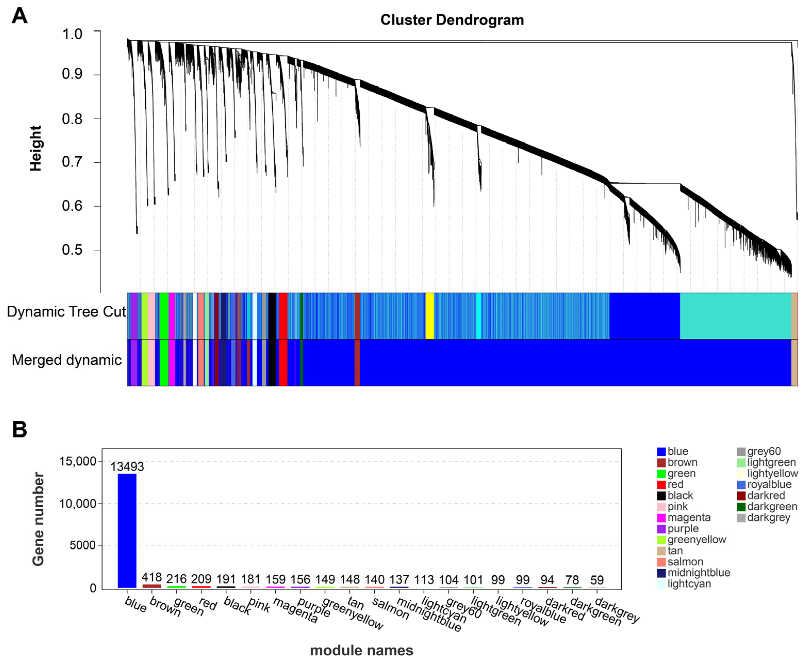 Animals 14 00402 g002