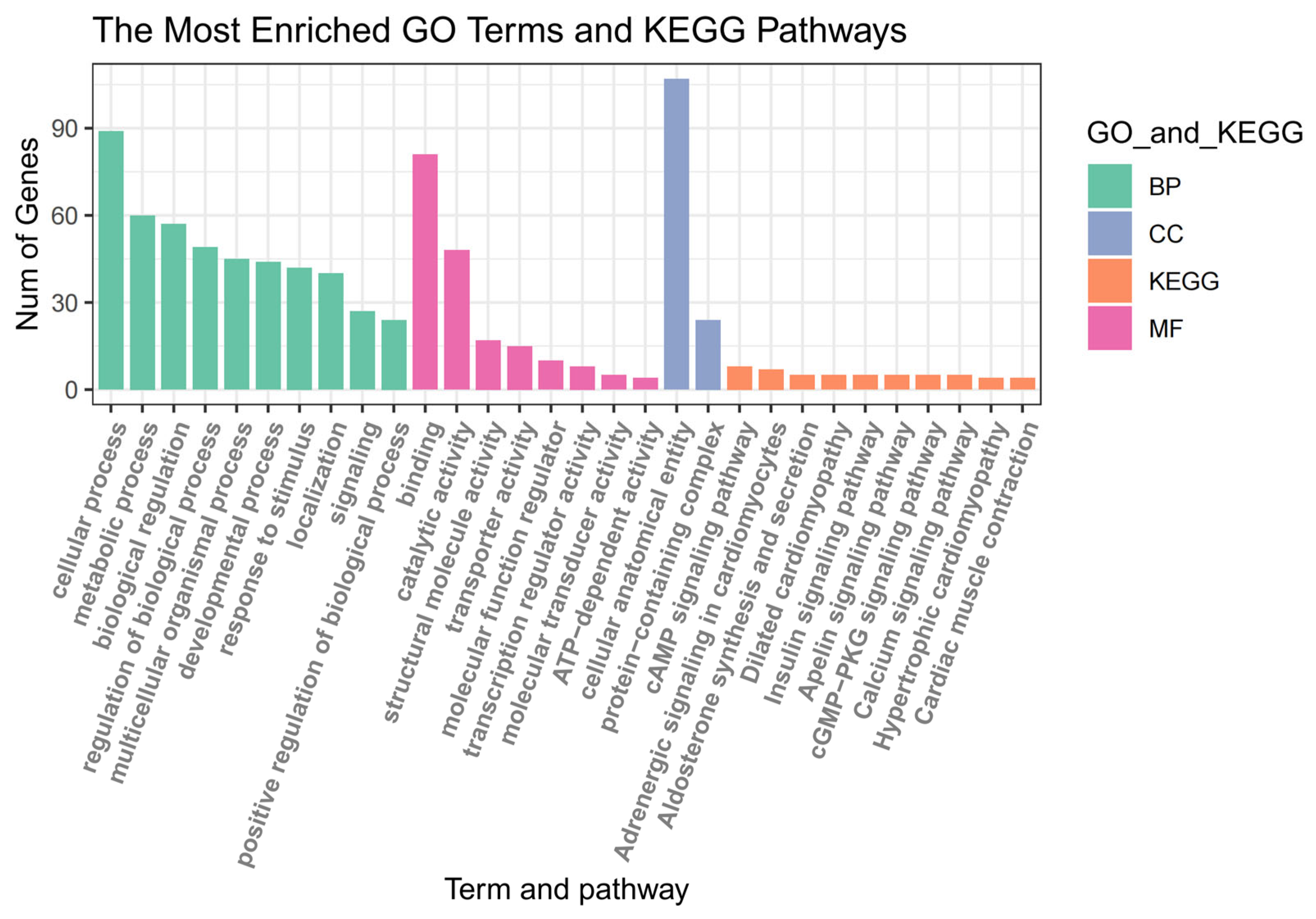 Animals 14 00402 g004
