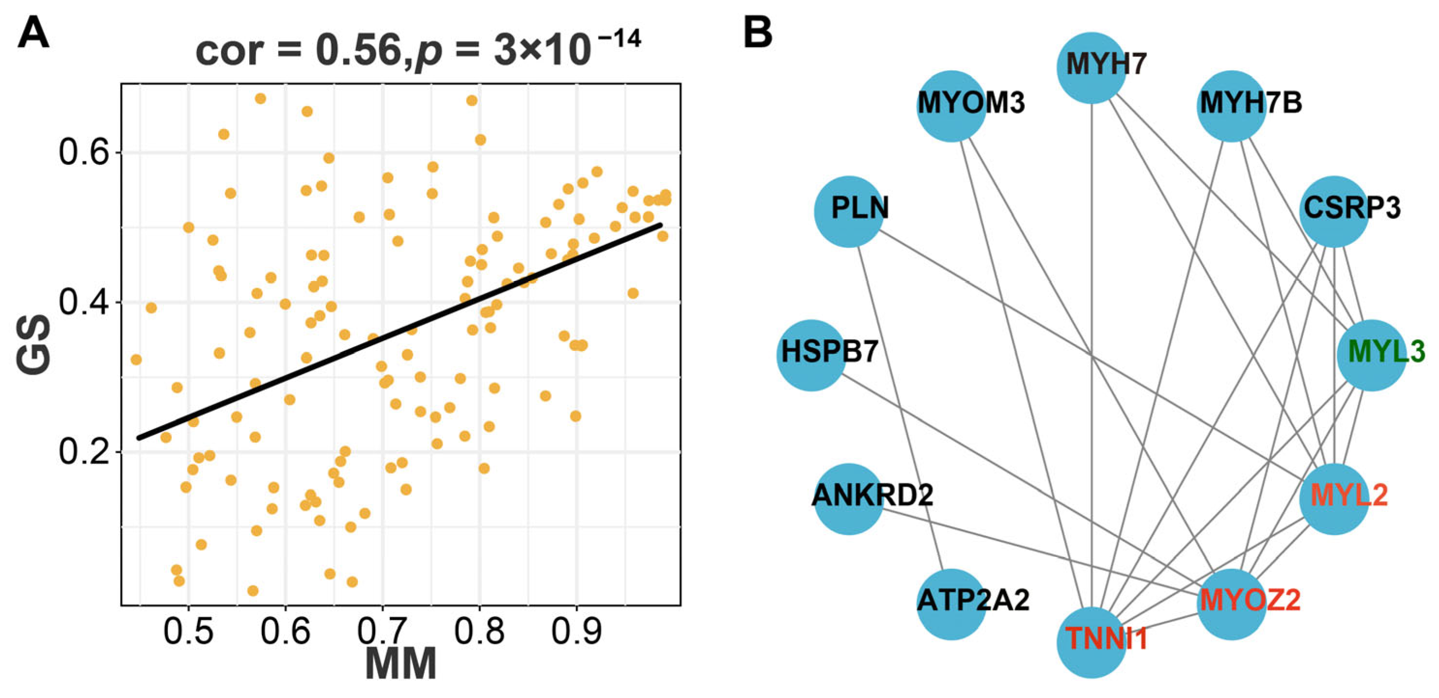 Animals 14 00402 g005