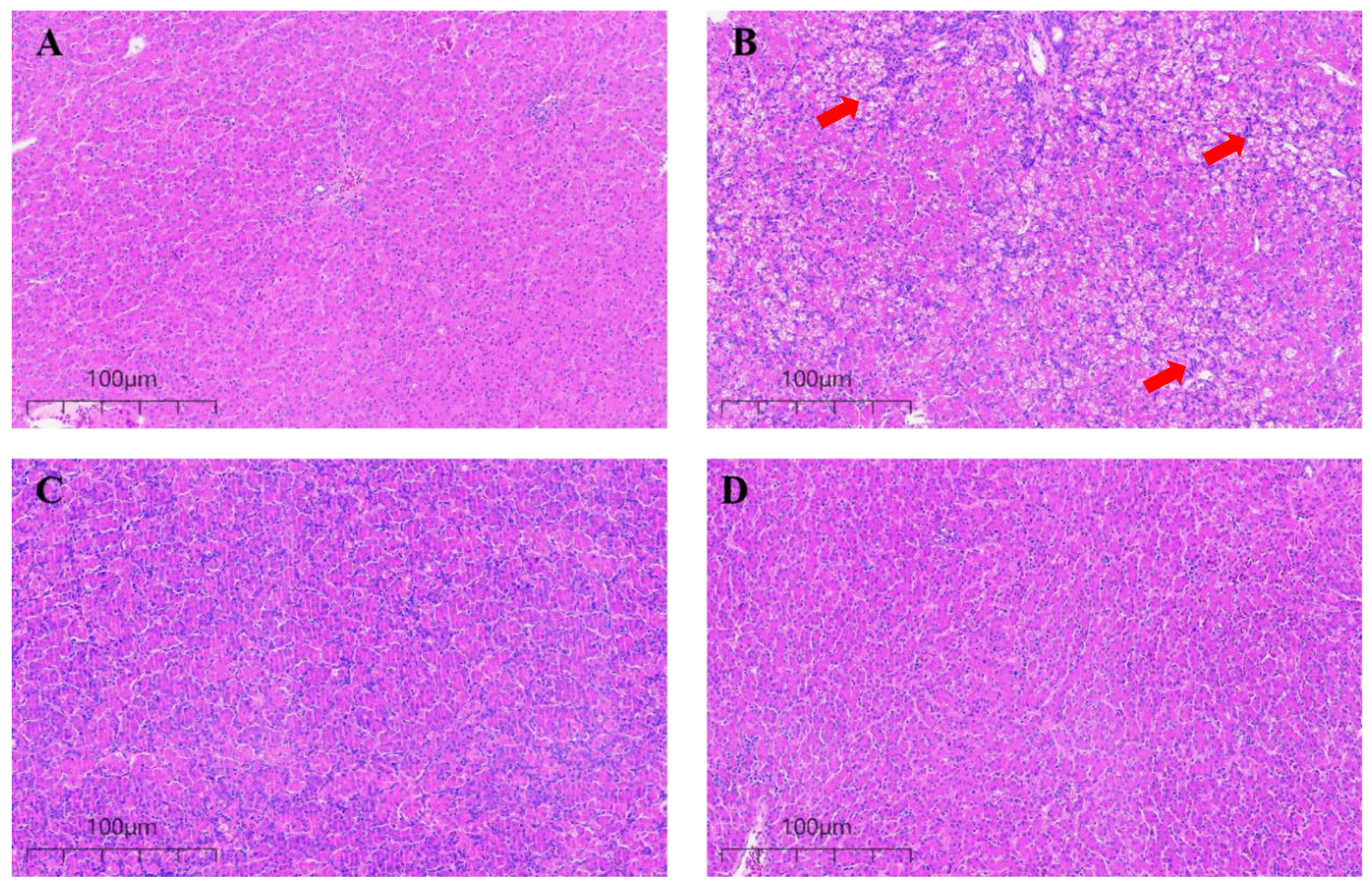 Animals 14 00409 g002