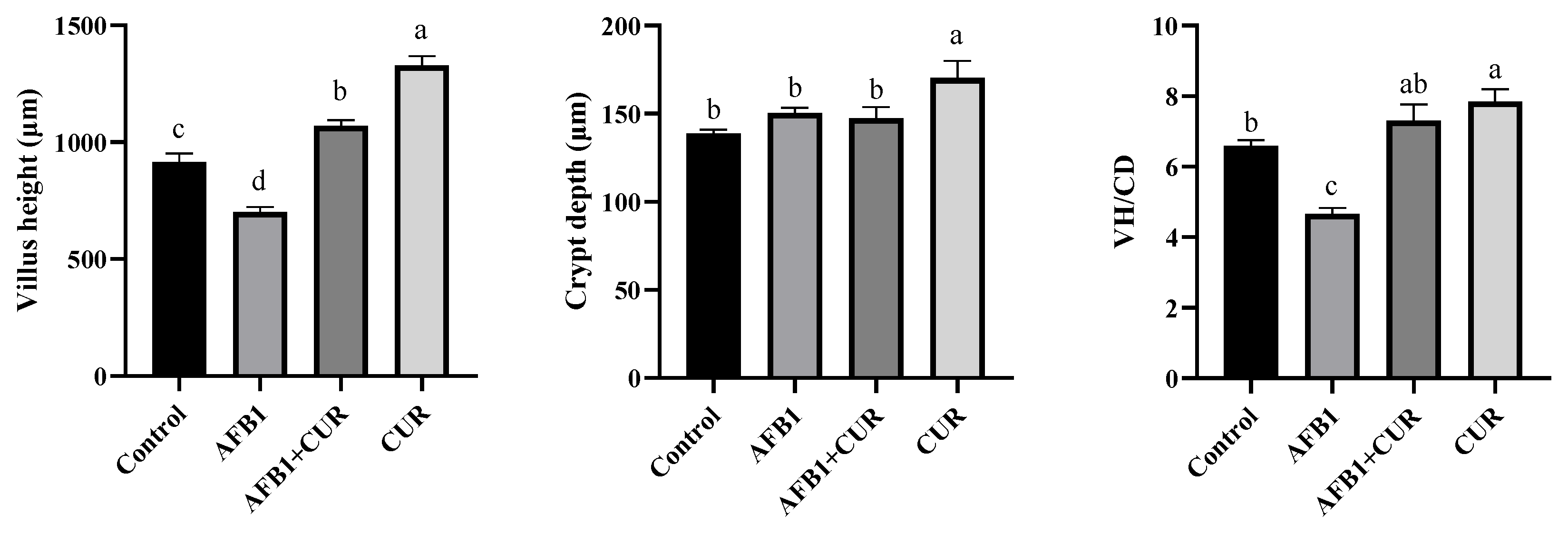 Animals 14 00409 g005