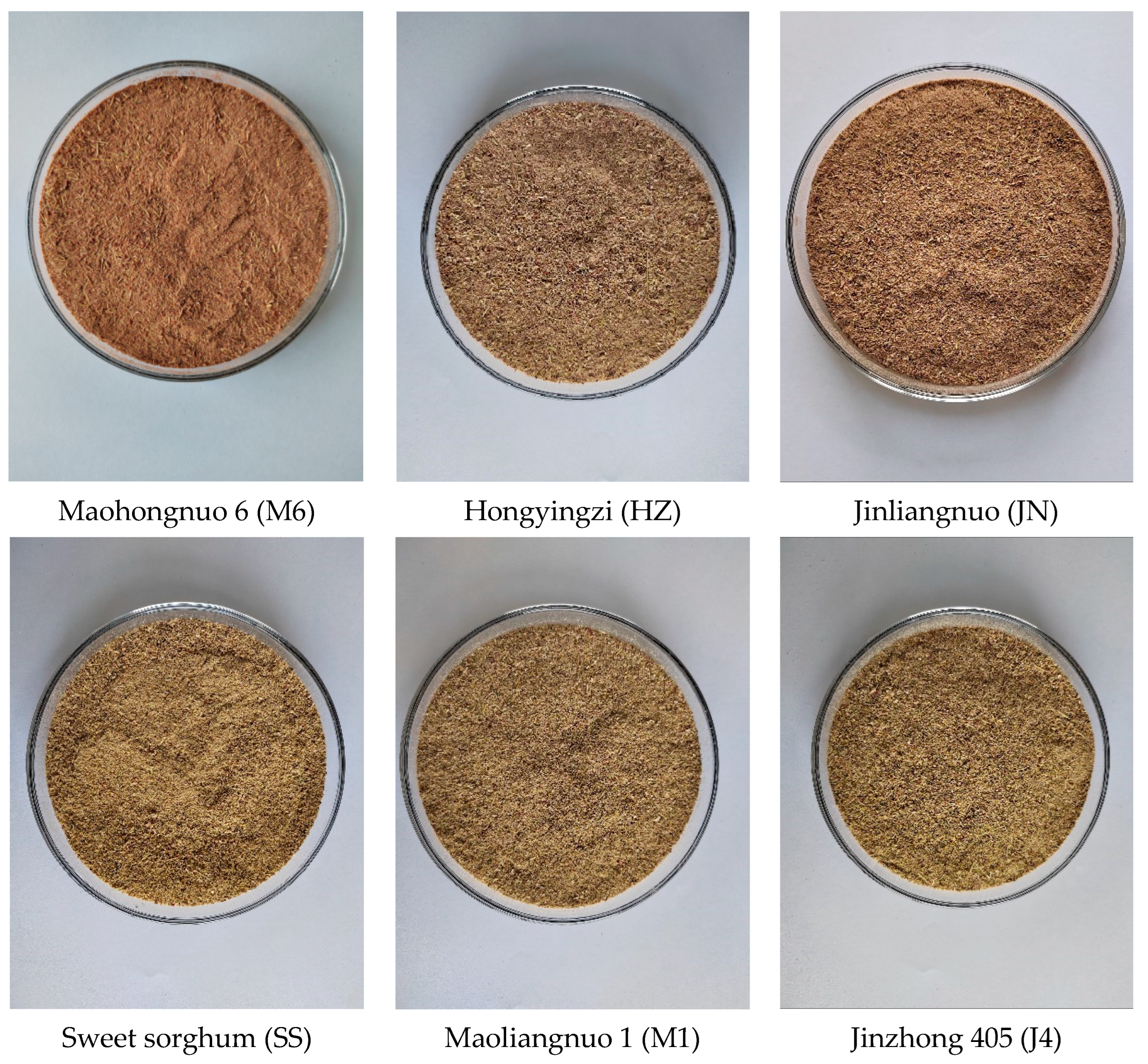 Animals 14 00415 g001