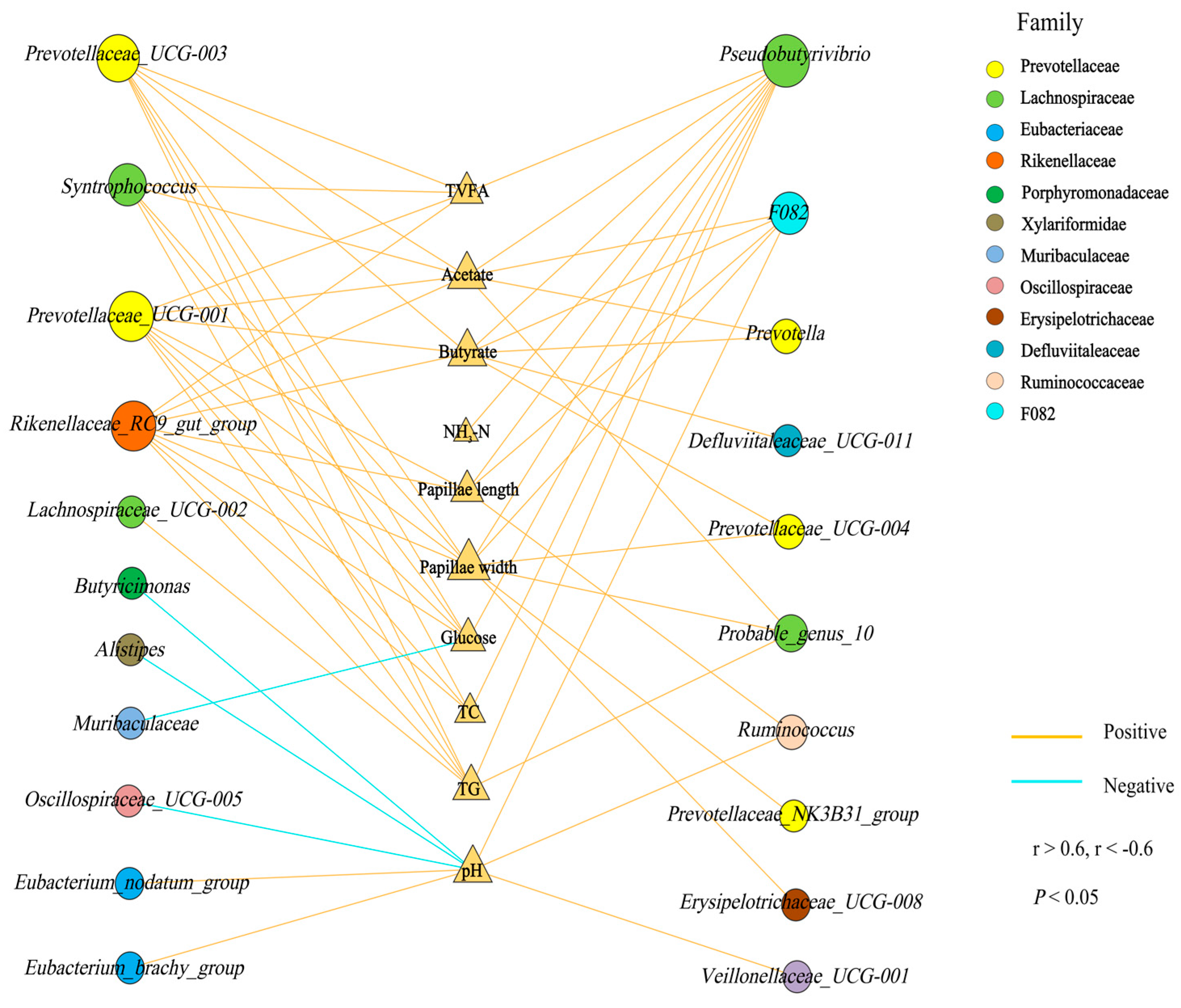 Animals 14 00425 g002