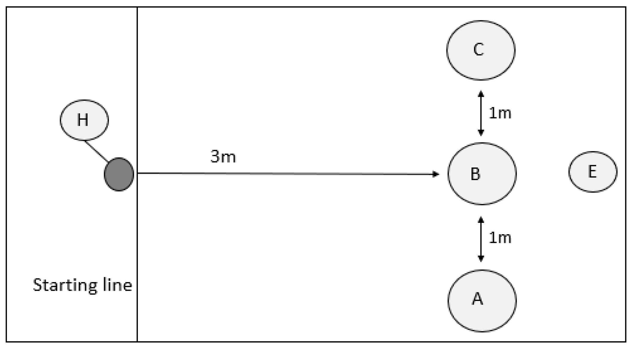 Animals 14 00428 g001